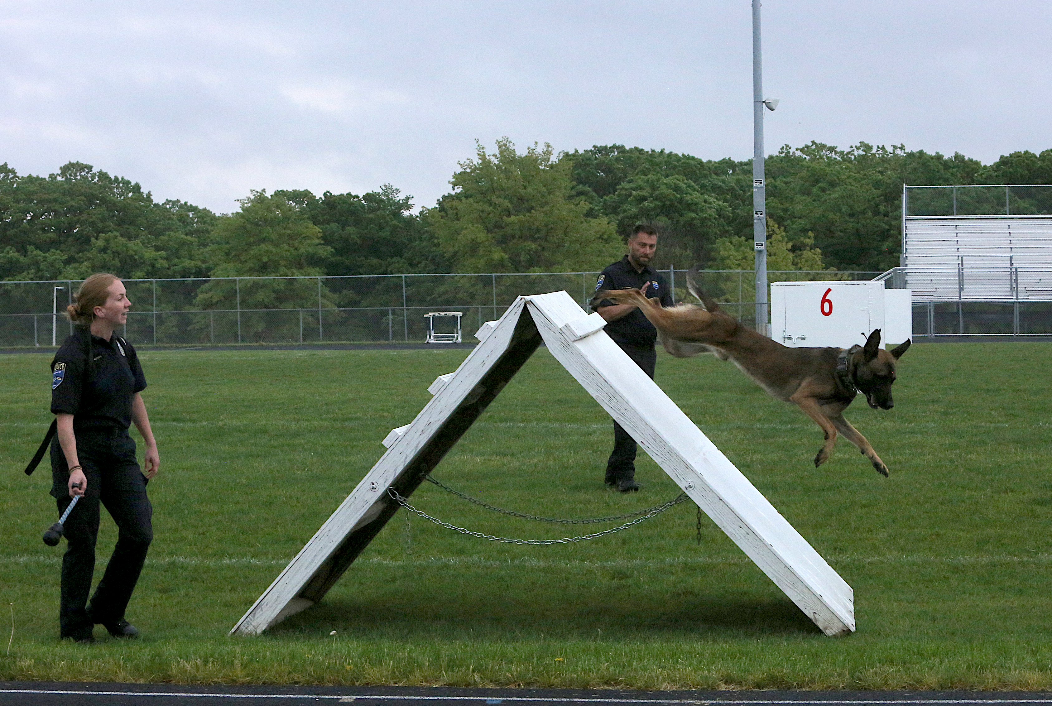 Police canines converge on Rochester for K9 games - Vimarsana News