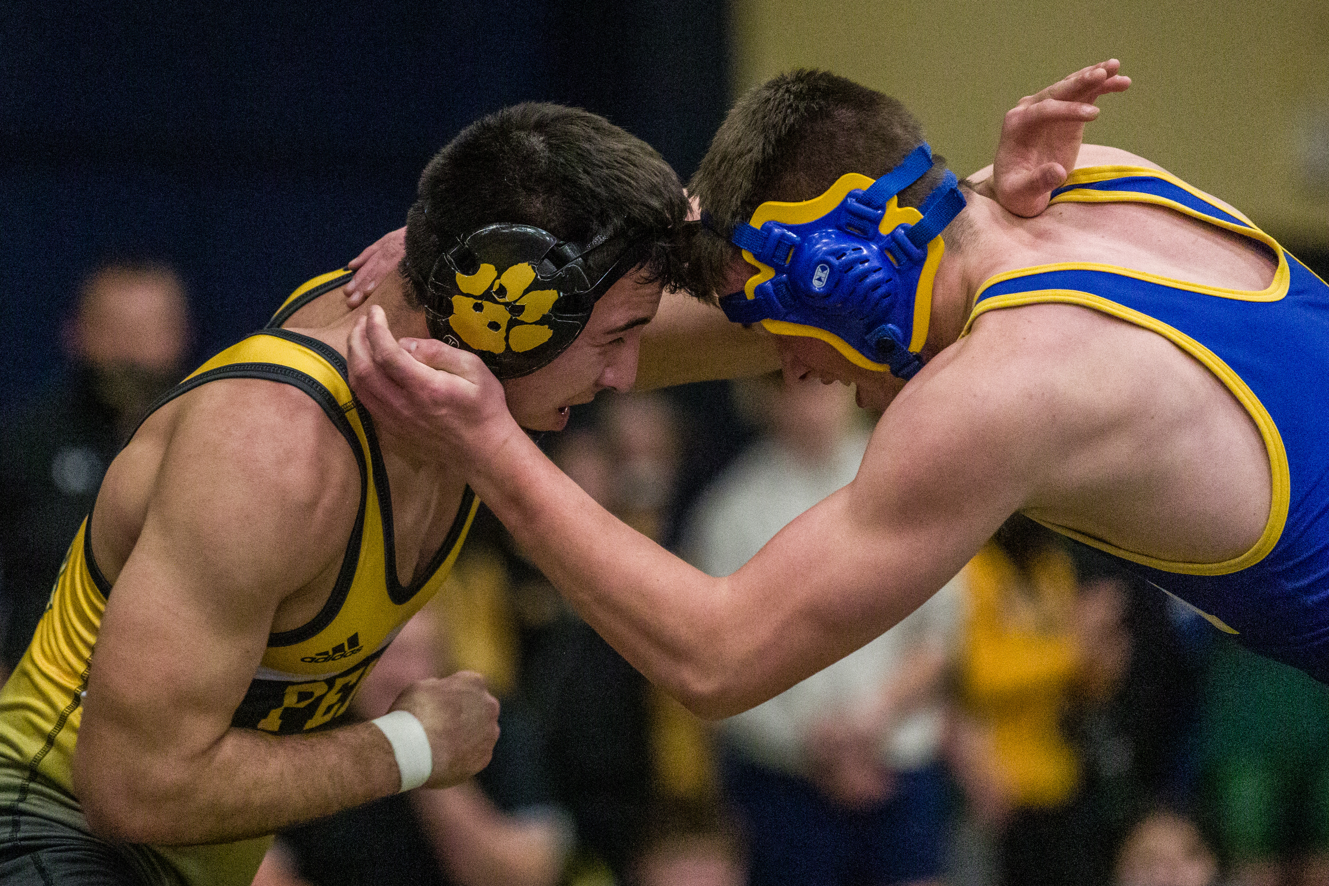Changes coming to this year's Minnesota Christmas Wrestling Tournament - Vimarsana News
