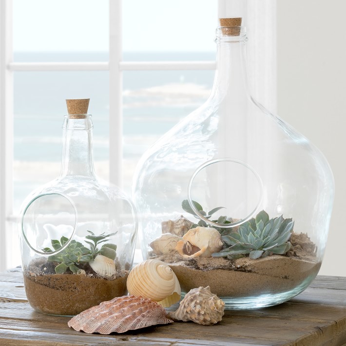Terrariums make a comeback - Vimarsana News