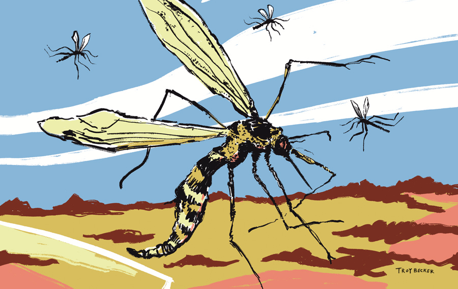 Mosquitoes a no-show for second straight summer in Fargo-Moorhead area - Vimarsana News