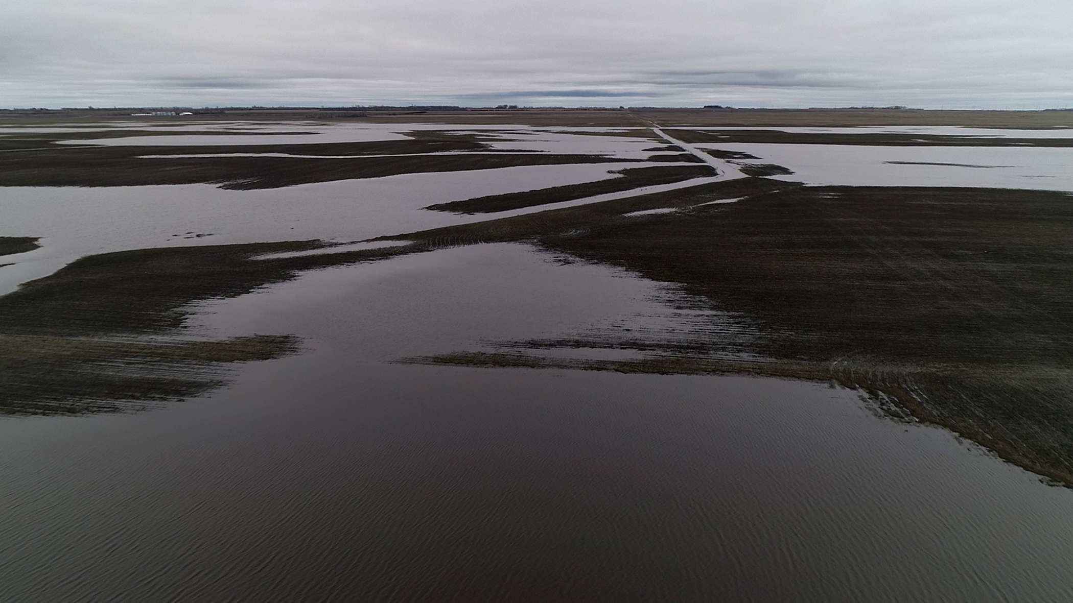 It's too cold and too wet to plant across the northern Plains - Vimarsana News