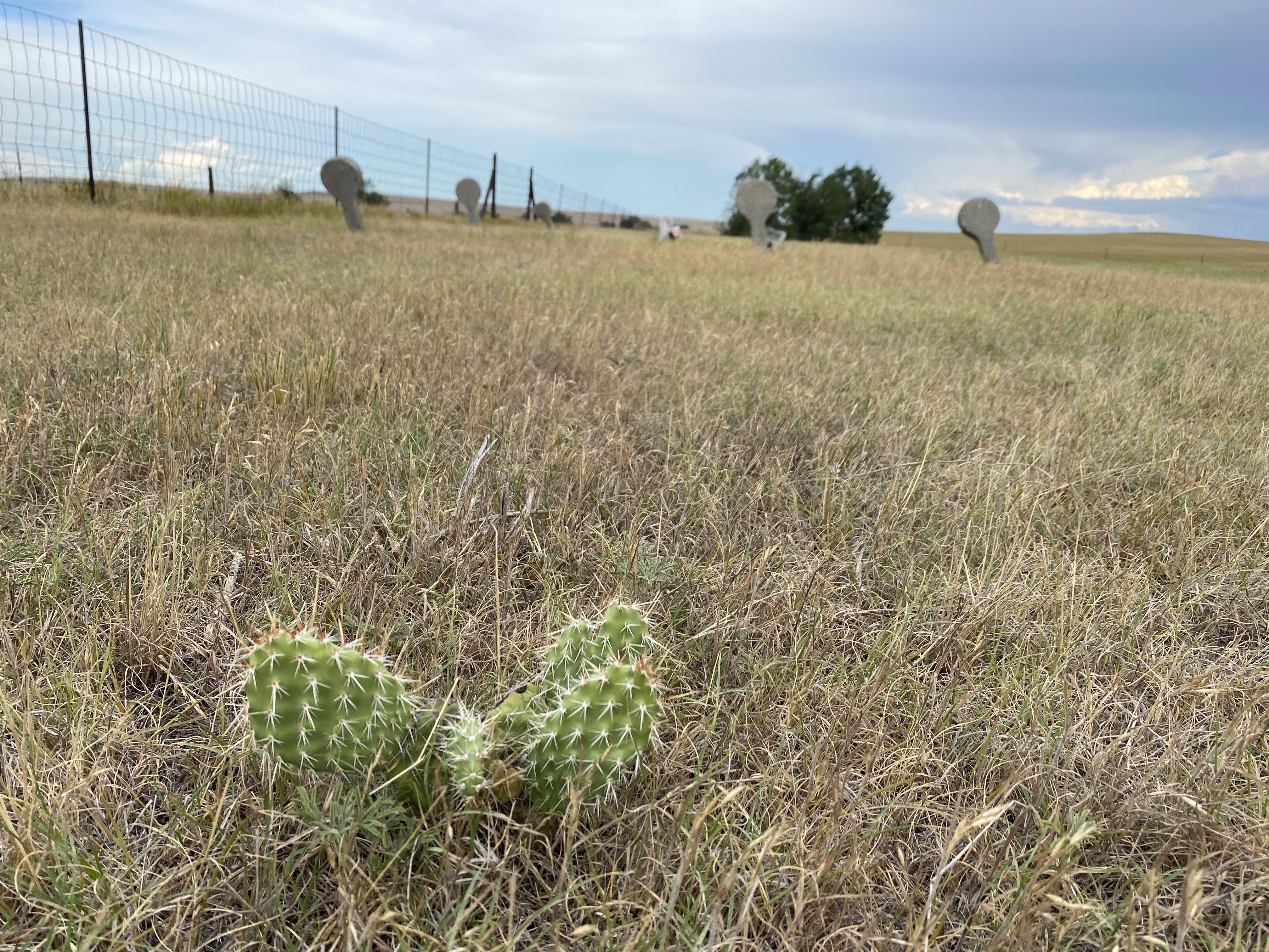 Bill to allow public onto abandoned cemeteries on private land fails in committee - Vimarsana News