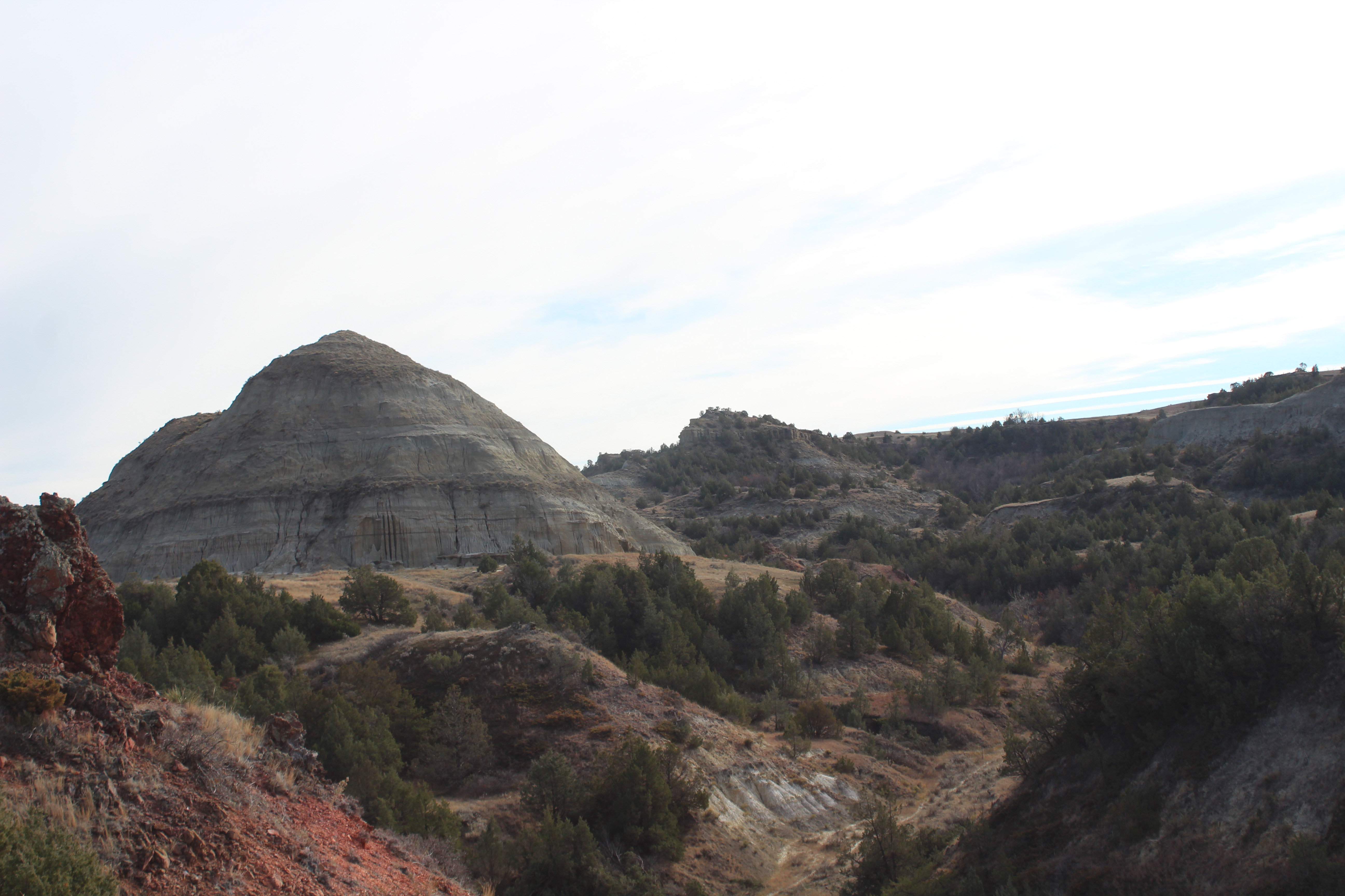 Roosevelt National Park officials seek public comment on livestock plan - Vimarsana News