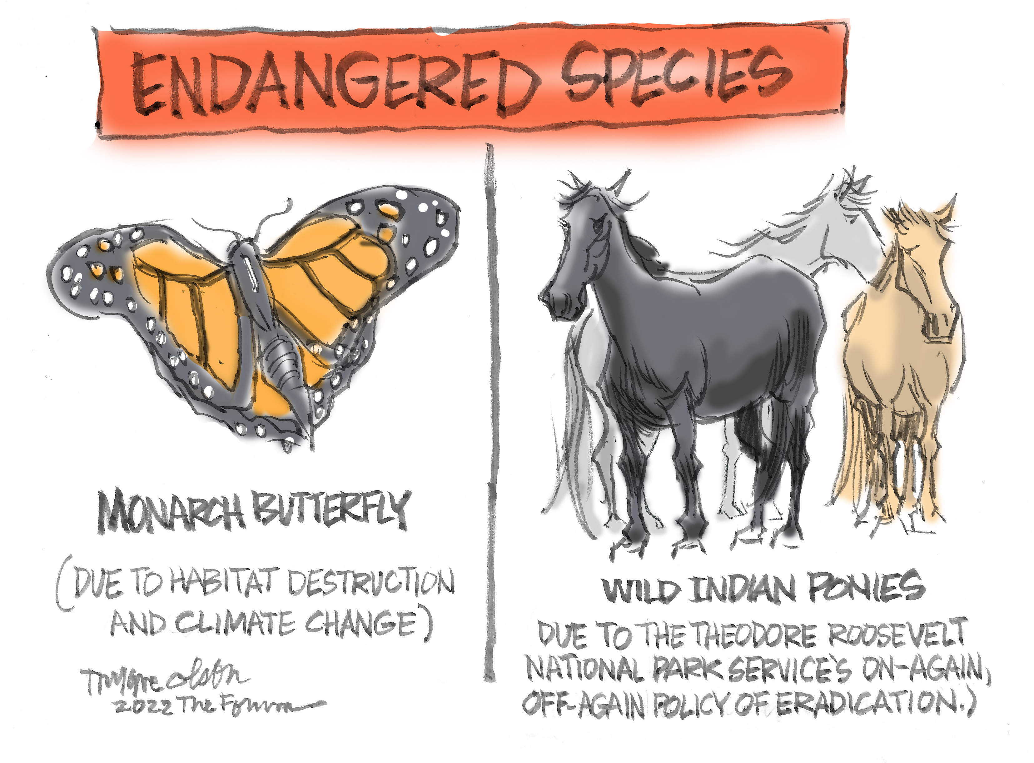 Trygve Olson cartoon: Endangered species - Vimarsana News