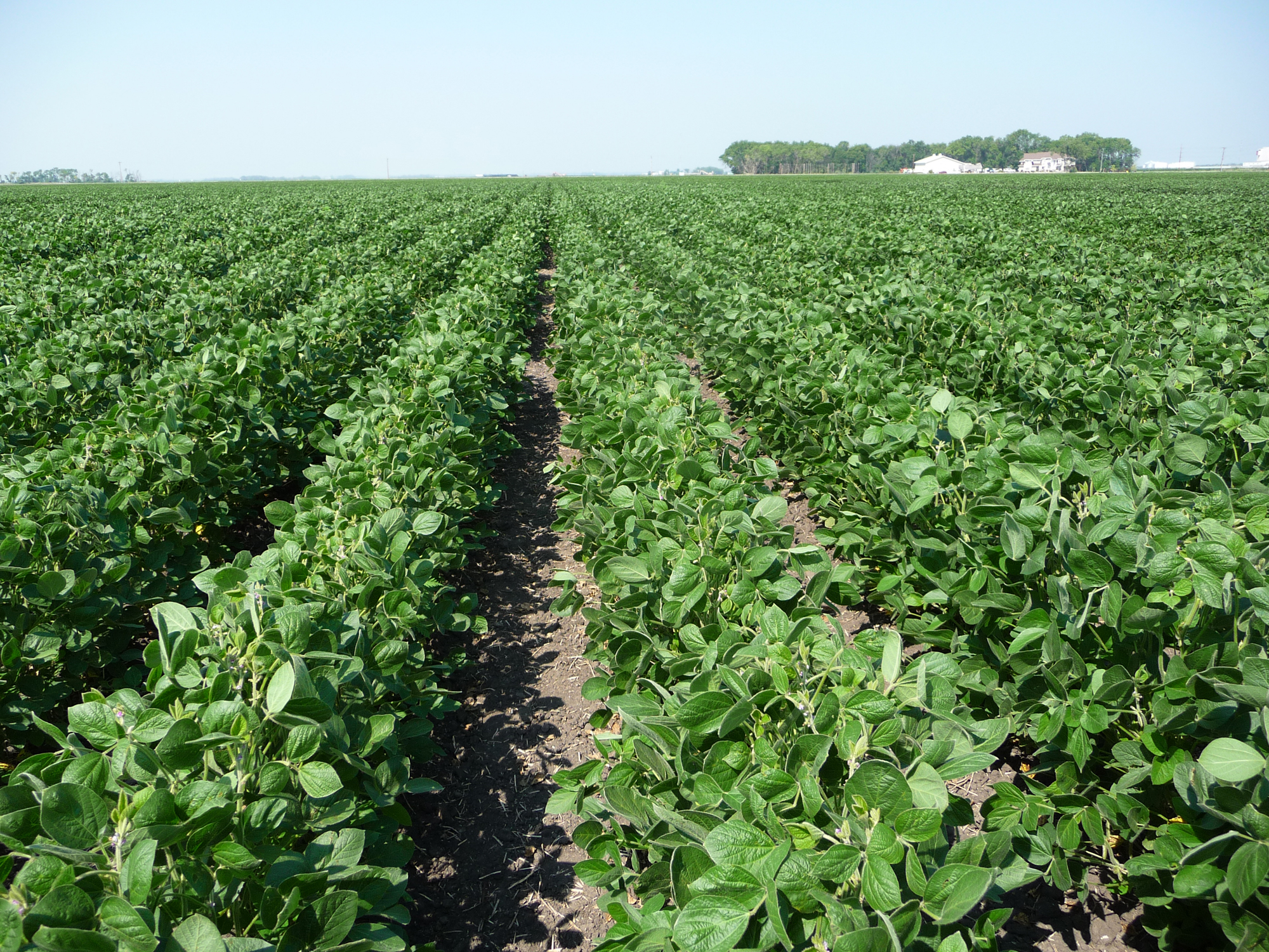 Extension Advanced Crop Advisers Workshop set for Feb. 8-9 - Vimarsana News