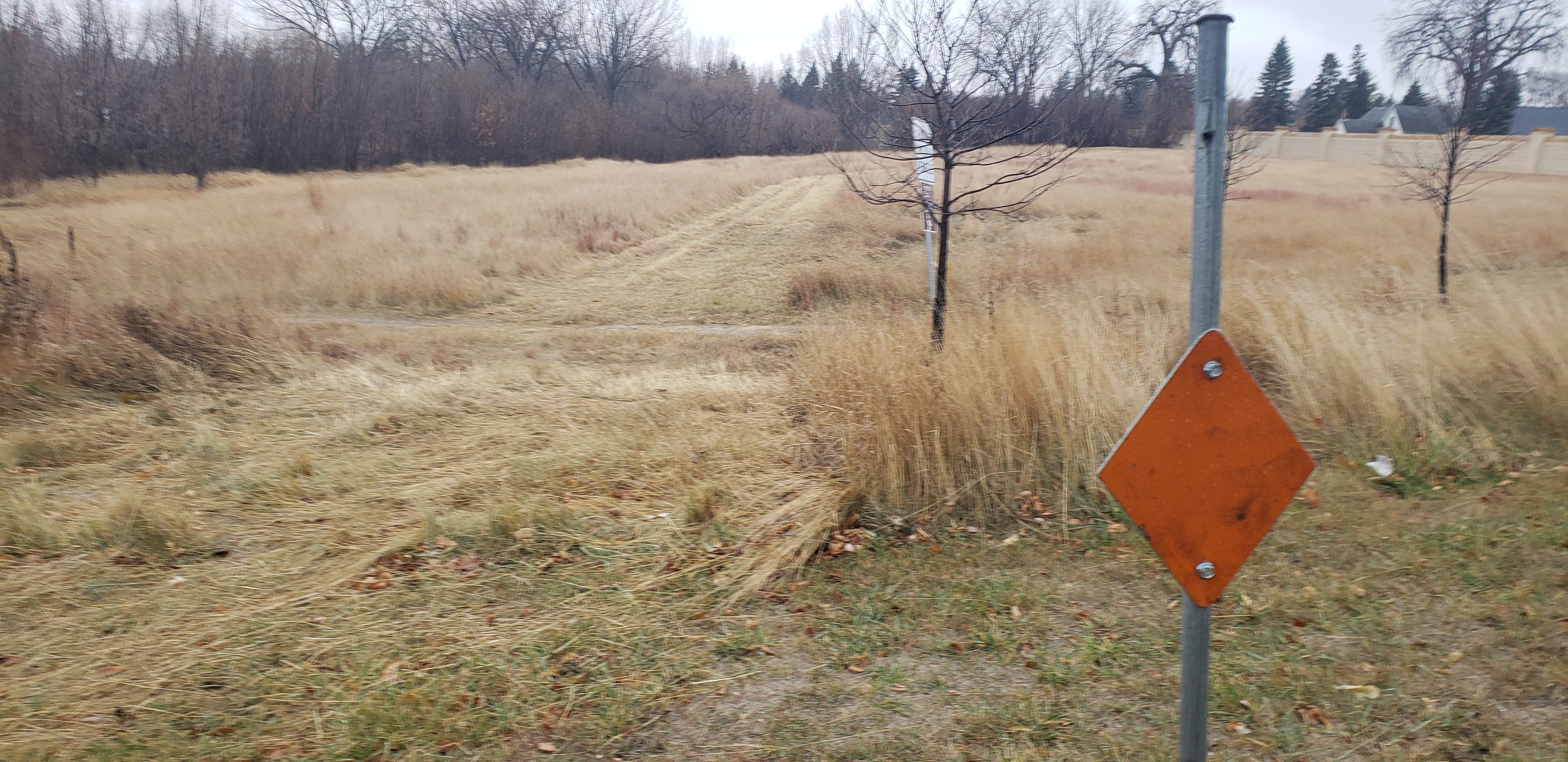 Proposed expansion of snowmobile route along Greenway fails to gain approval - Vimarsana News