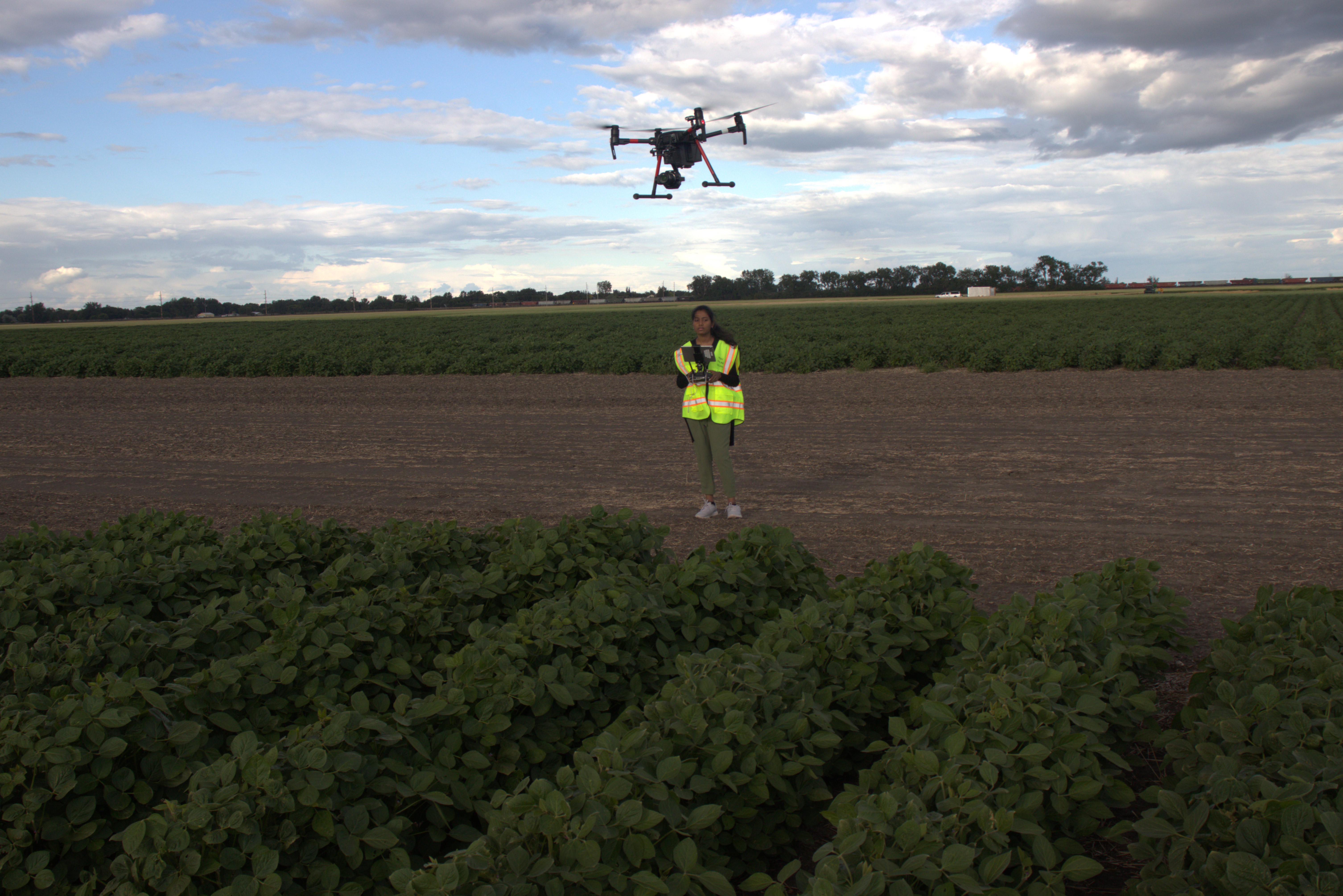 Universities use high-tech tools of the trade to develop soybean varieties - Vimarsana News