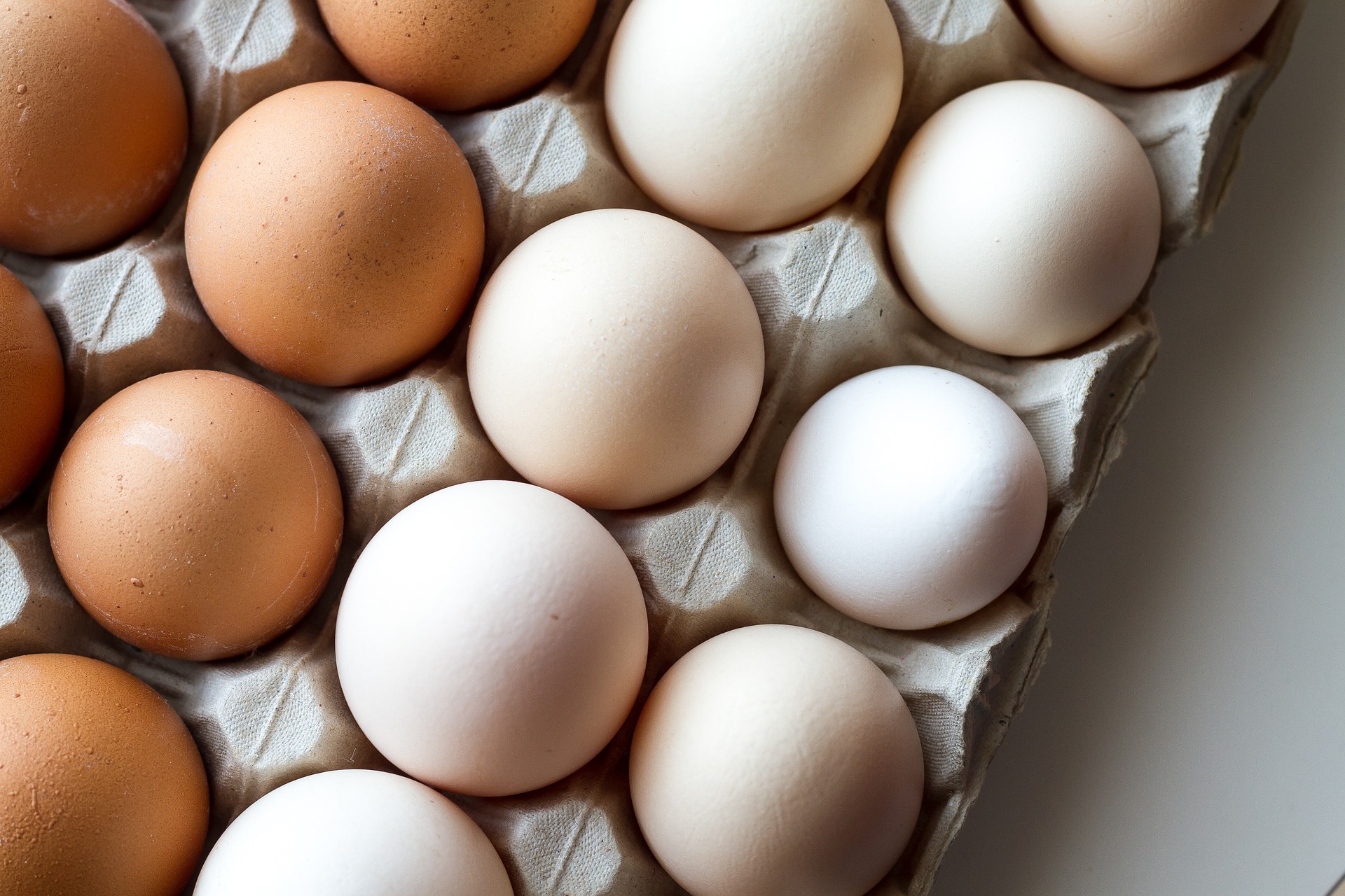 Eggs are all they are cracked up to be - Vimarsana News