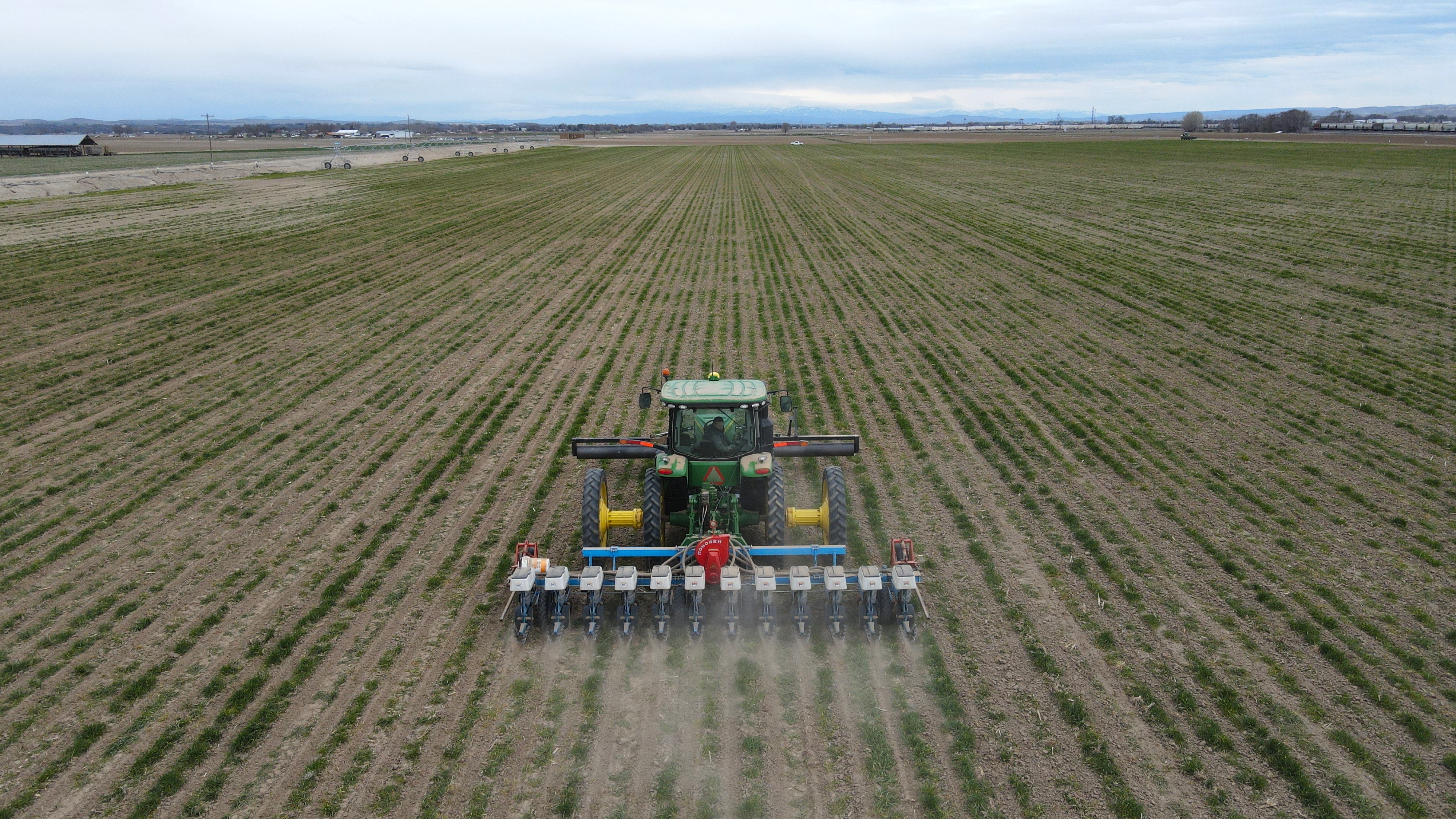 Weather in northern Plains, Michigan delays sugarbeet planting while western U.S. growers make good progress - Vimarsana News