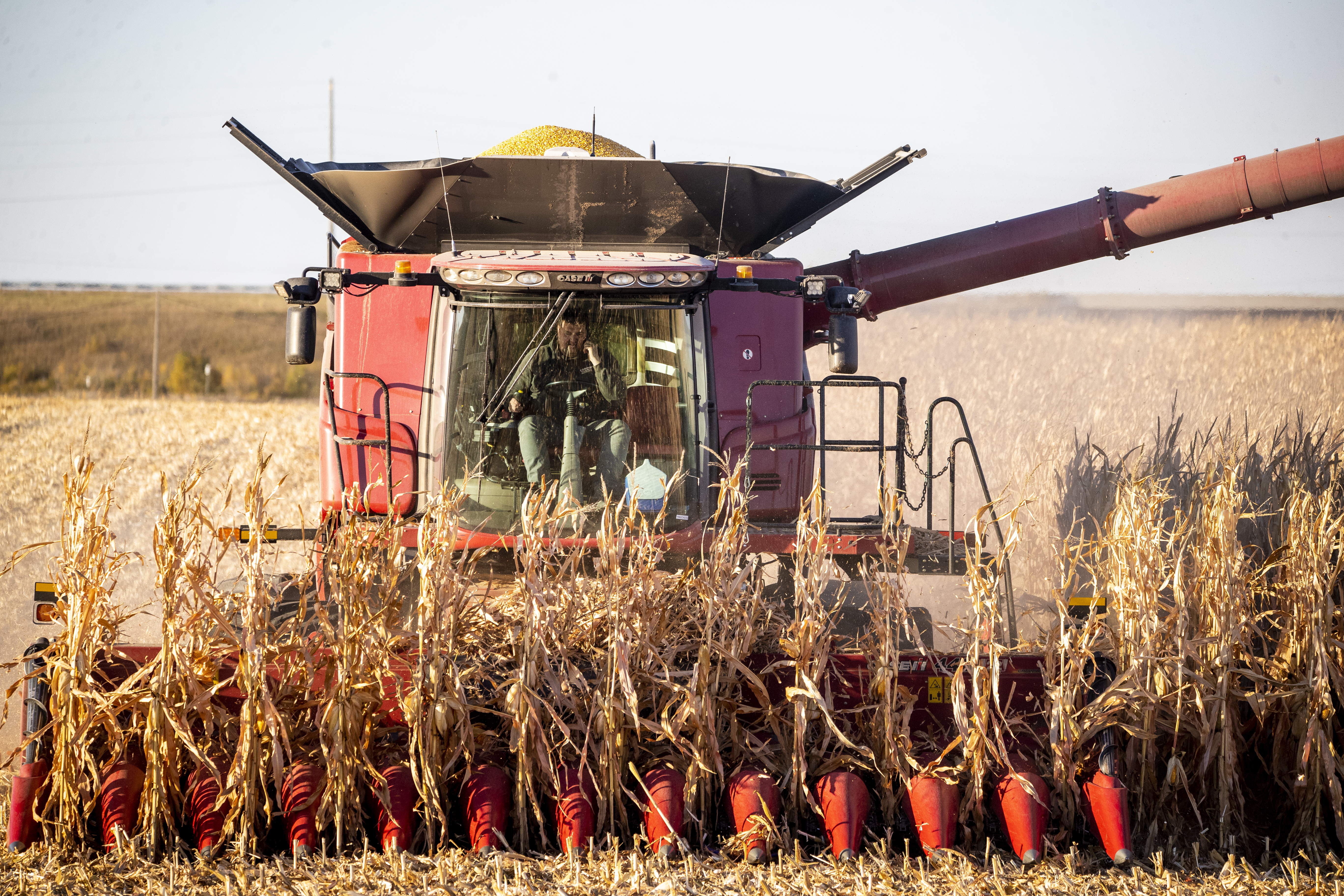 PHOTOS: Farmers harvest their crops as fall hits full swing - Vimarsana News