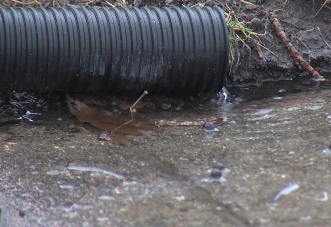 Fargo plumber sees busiest sump pump season since 2009 - Vimarsana News