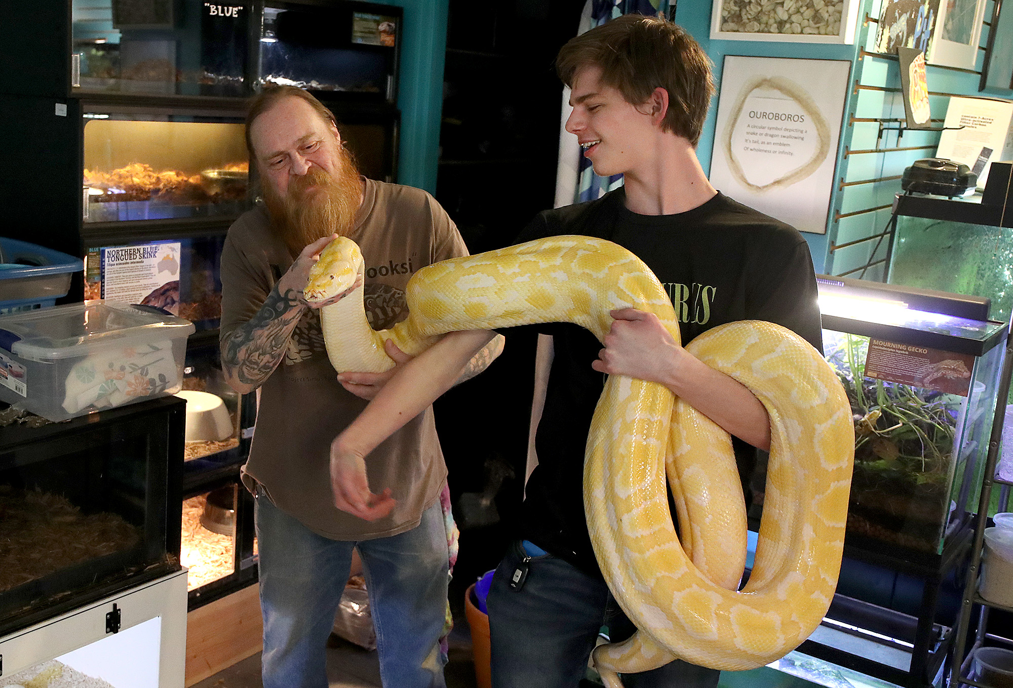 Duluth reptile expert keeps the Northland covered in lizards, snakes, frogs and more - Vimarsana News