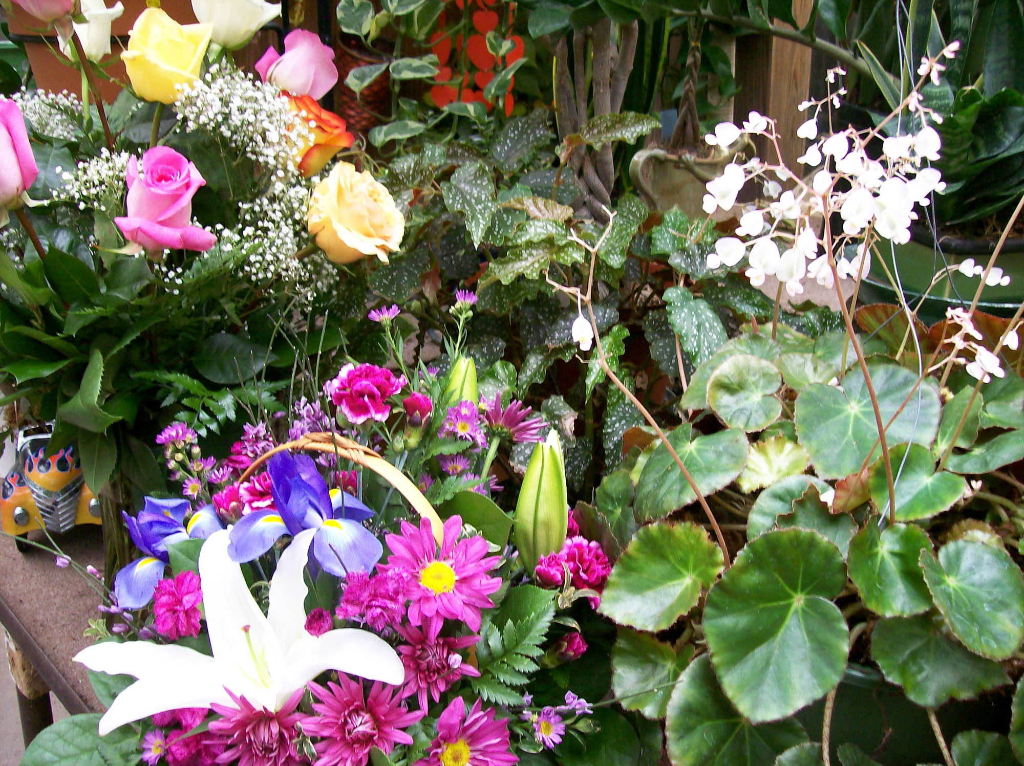 Love takes bloom in many forms - Vimarsana News