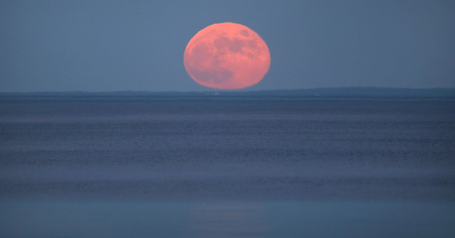 Astro Bob: Full Snow Moon puts on a 2-night show - Vimarsana News