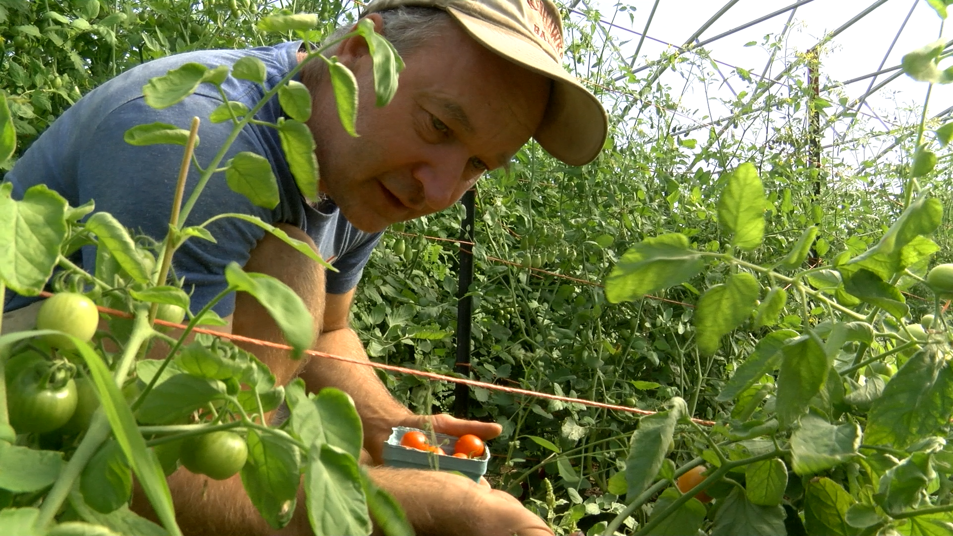 Lida Farm continues local market focus nearly two decades after it began - Vimarsana News