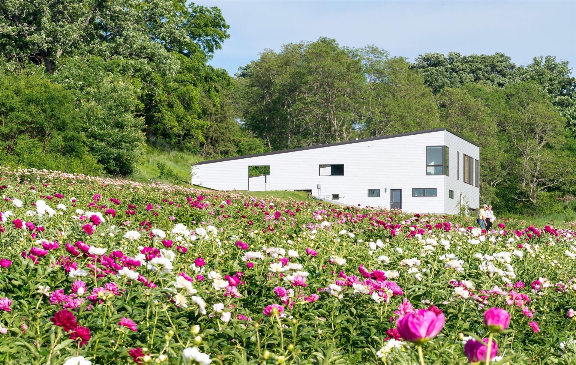 The flowers alone make this Spring Grove home worth a look - Vimarsana News