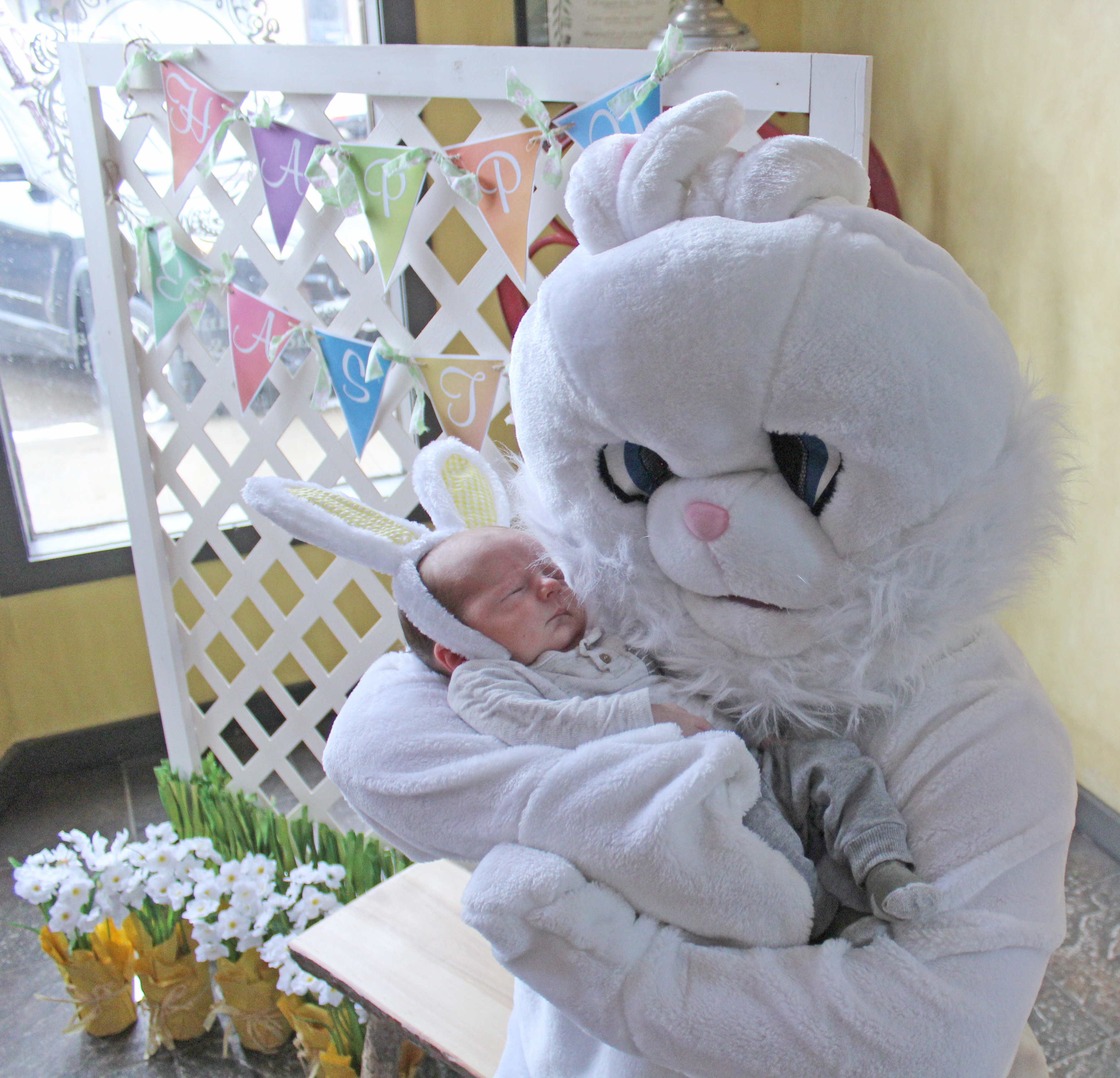 Bunny trail hops into downtown Park Rapids - Vimarsana News