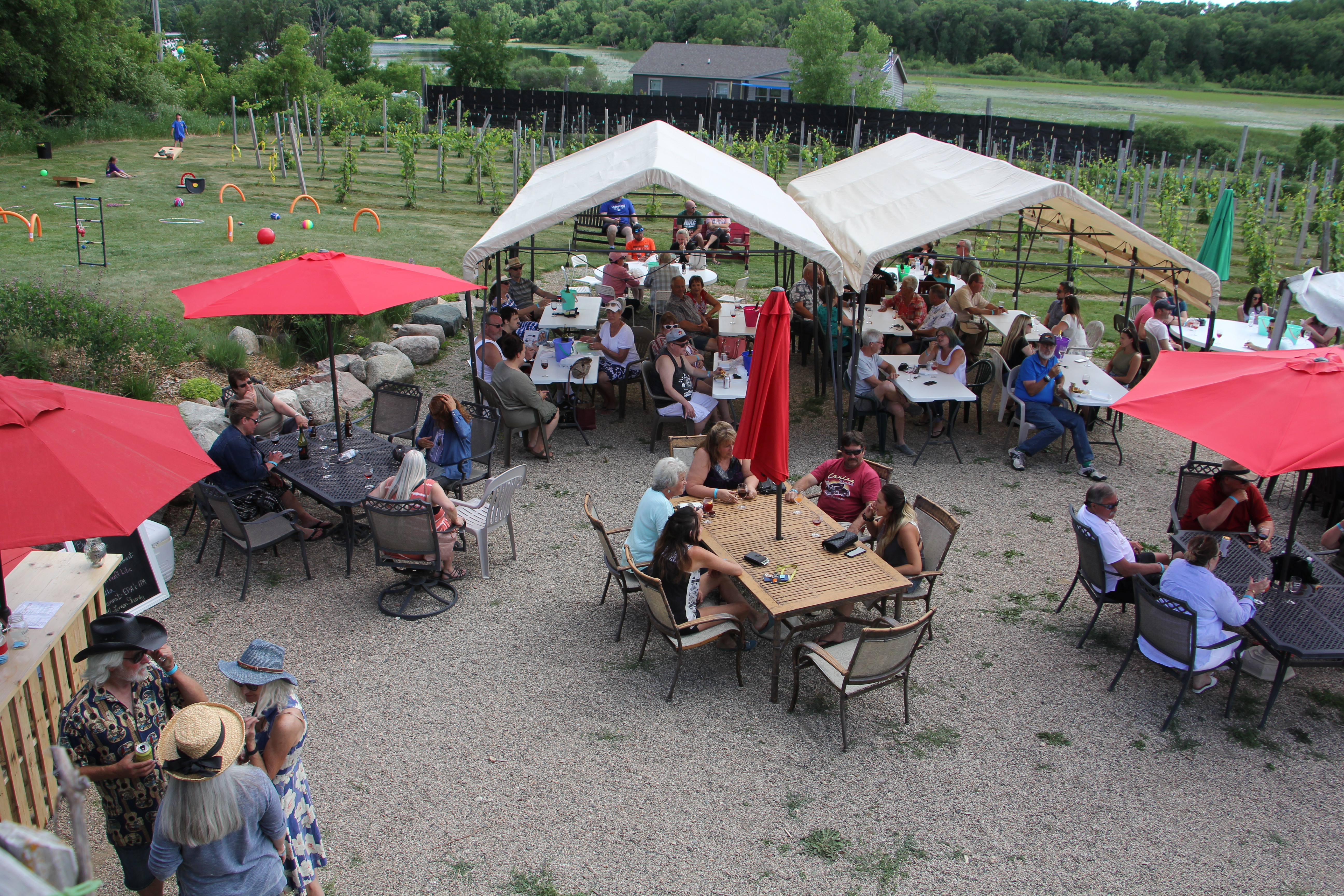 Richwood Winery's Summer Solstice Festival set for June 18 - Vimarsana News