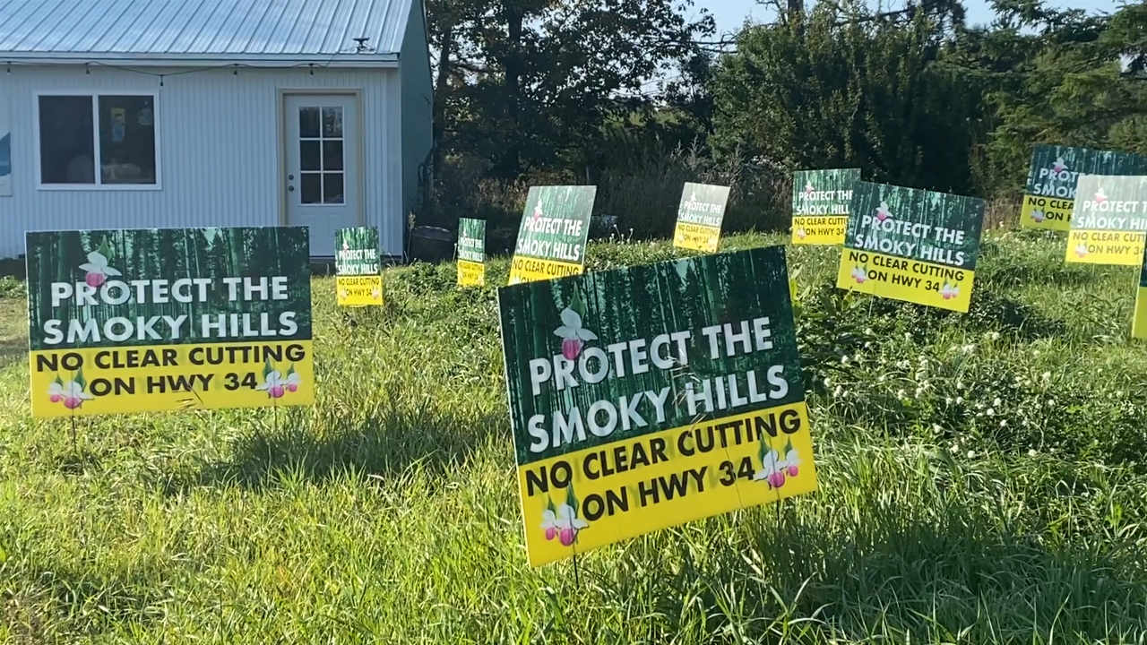Opposition mounts against tree cutting plan on Highway 34 near Detroit Lakes - Vimarsana News
