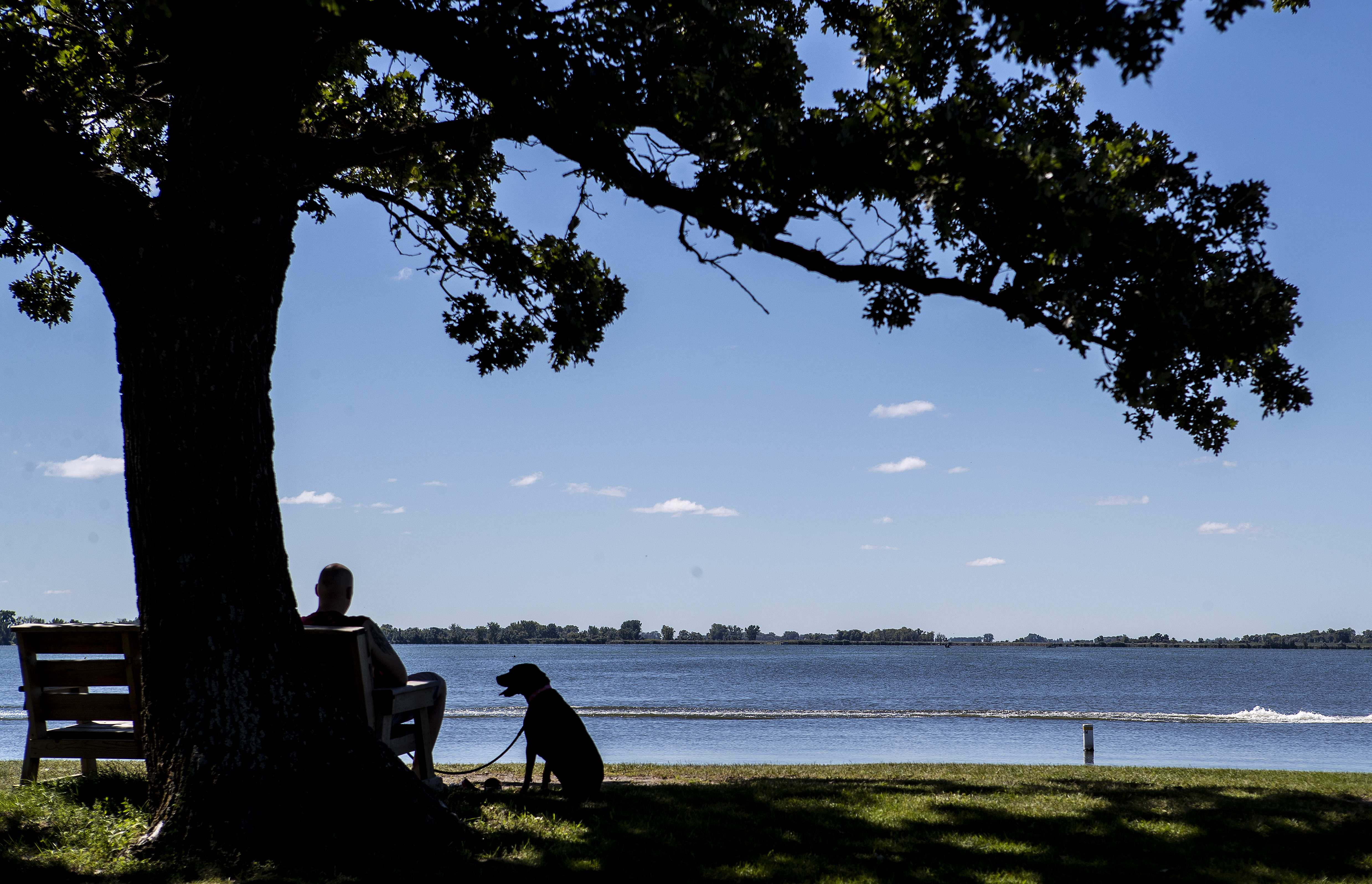 PHOTOS: Kandiyohi County residents celebrate the dog days of summer - Vimarsana News