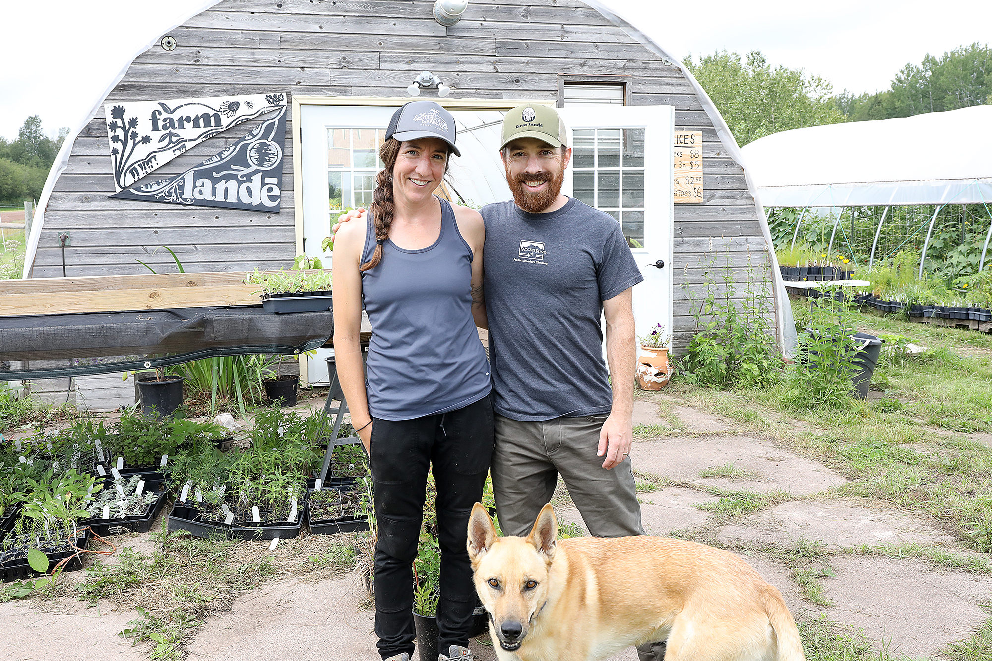 Duluth farmer finds niche in native perennials, bees - Vimarsana News