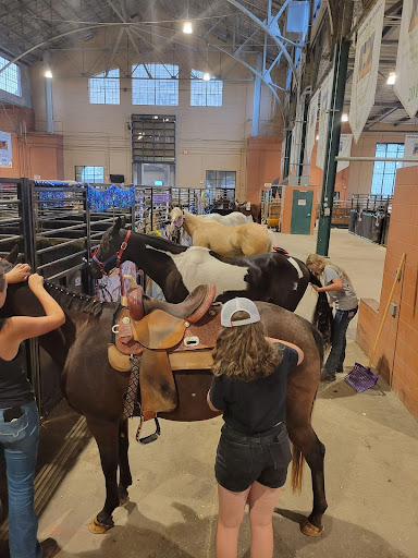 Cass County 4-Hers attend Minnesota state horse show - Vimarsana News