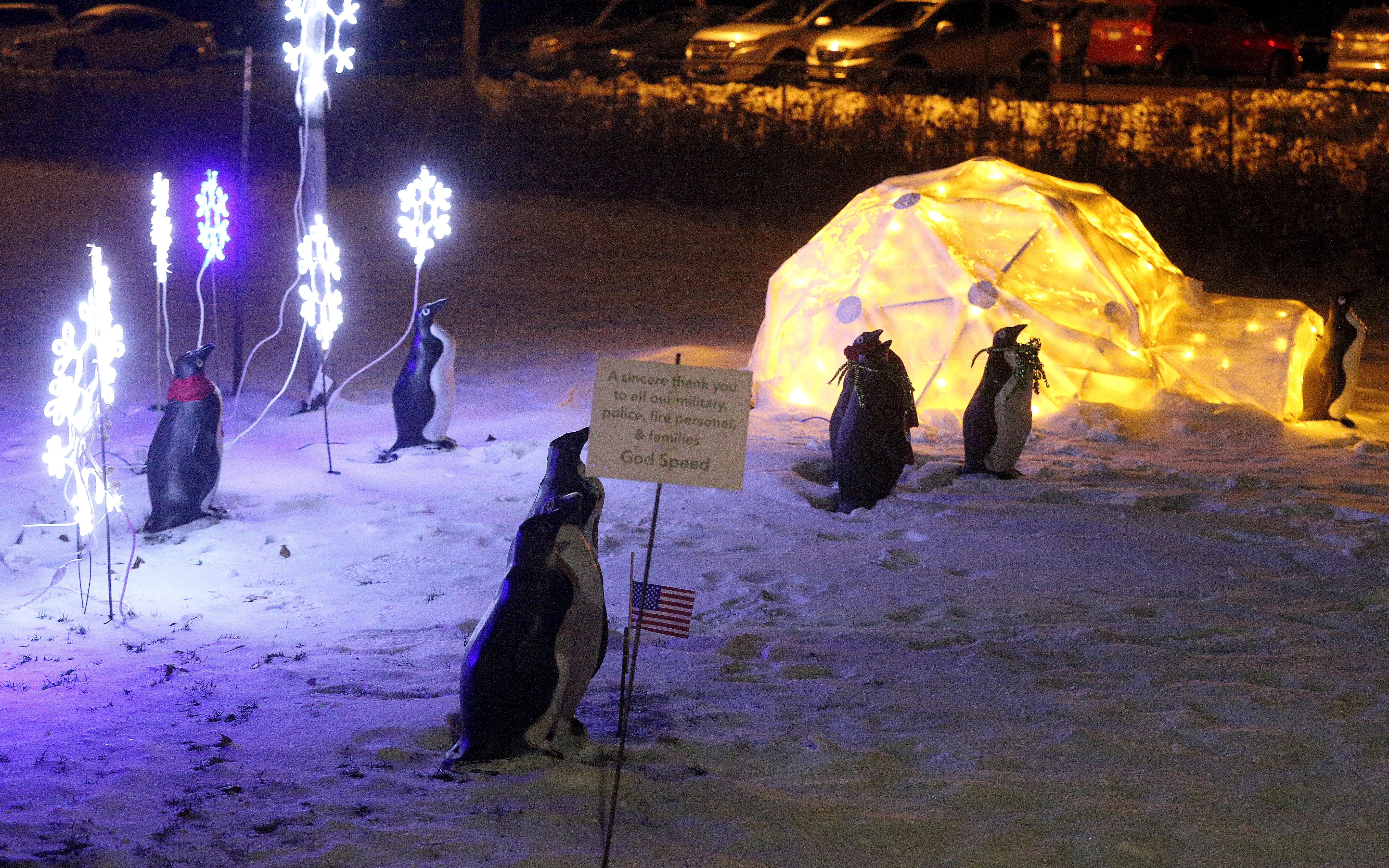 Northlandia: Marcia Hales' storied holiday lights display faces uncertain future - Vimarsana News
