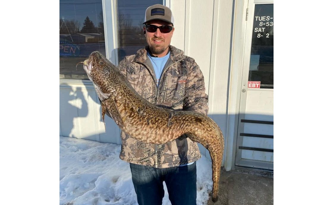 Dokken: Minot angler catches pending North Dakota state record burbot - Vimarsana News