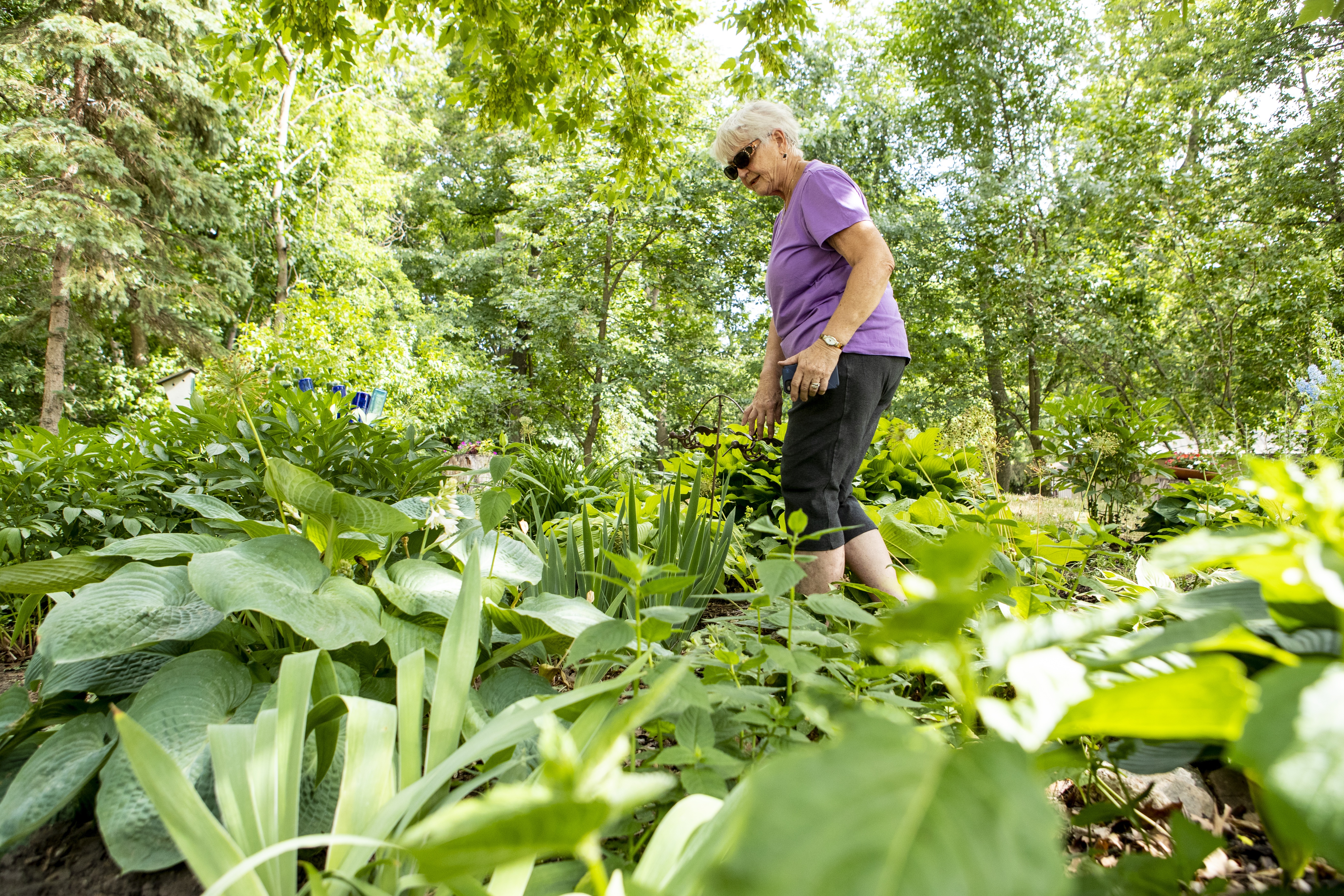 Meeker County garden tour set for July 12 - Vimarsana News