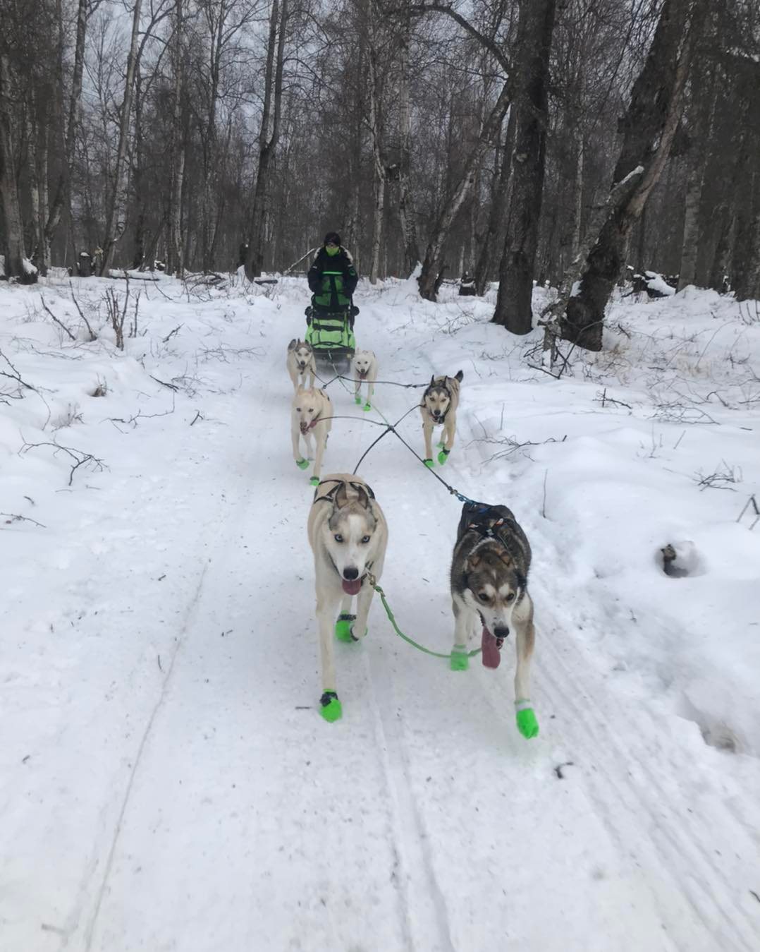 Cavalier, North Dakota, teen training for Jr. Iditarod sled dog race in Alaska - Vimarsana News