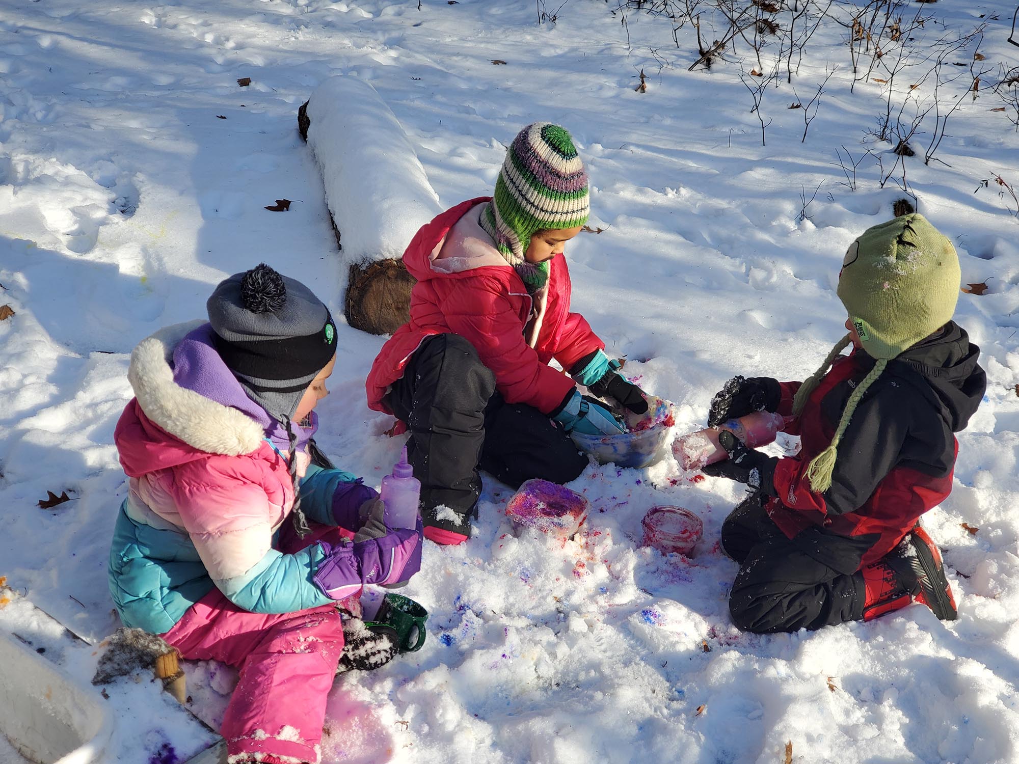 Happy Dancing Turtle in Pine River to host Tiny Turtle classes - Vimarsana News