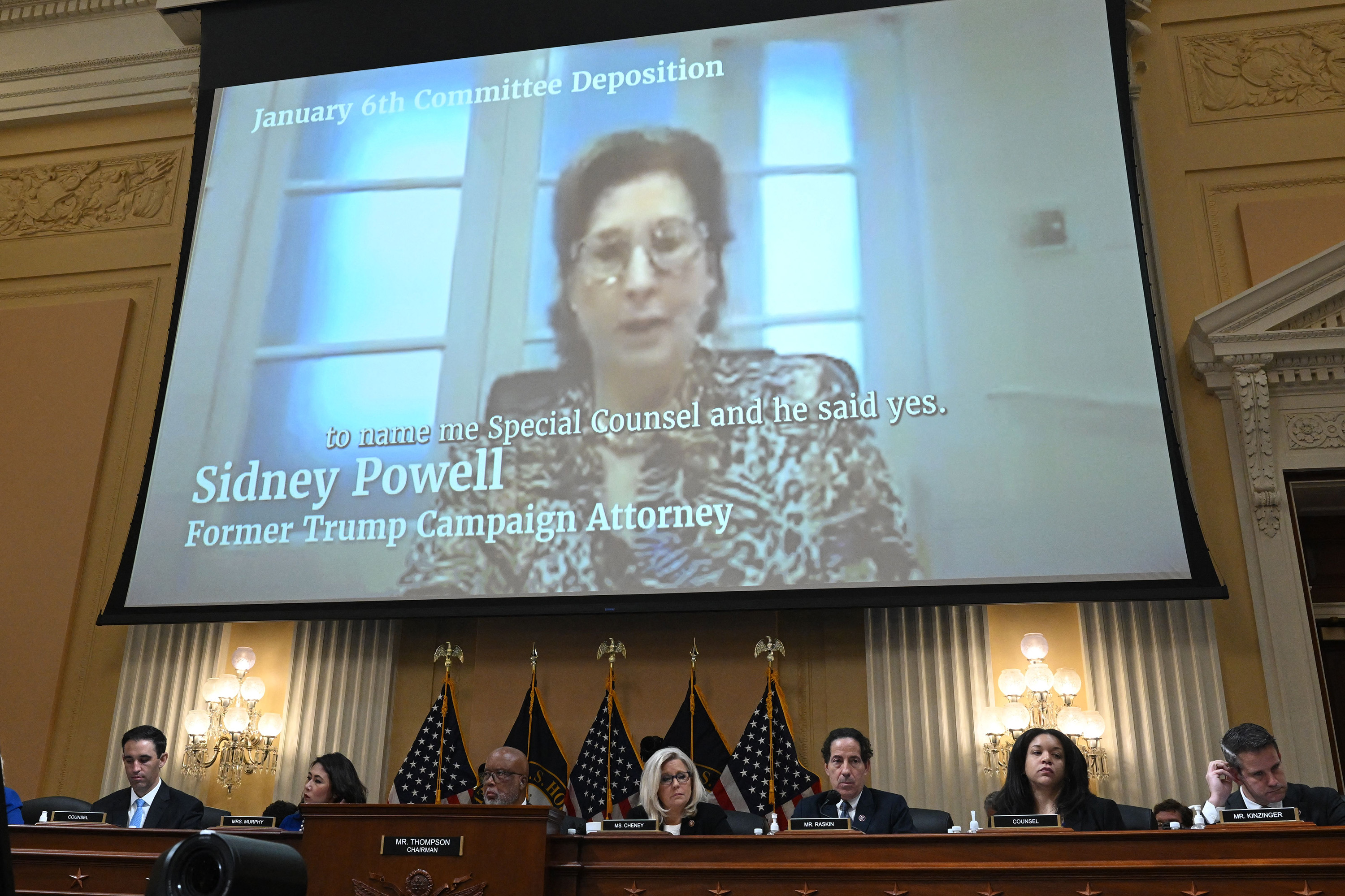 American Opinion: After Jan. 6 Committee findings, Sidney Powell is trying to save her law license - Vimarsana News