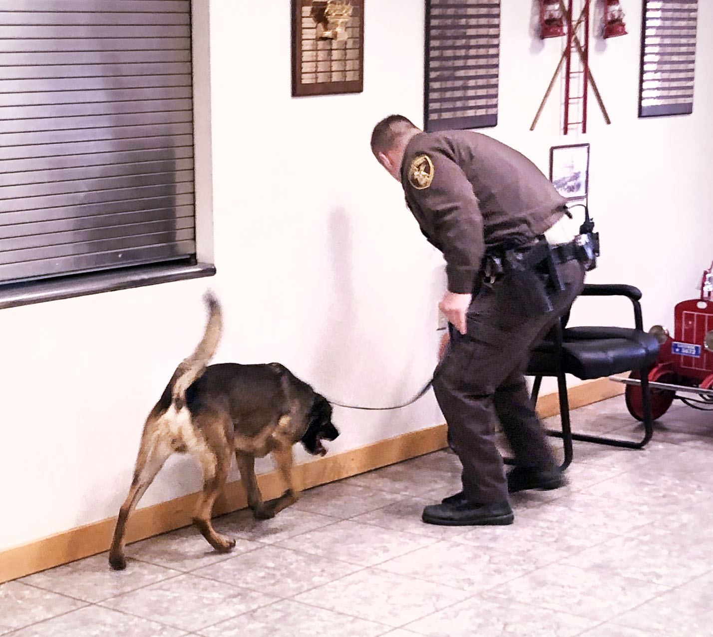Douglas County K-9s and their handlers take home trophies at regional trials - Vimarsana News