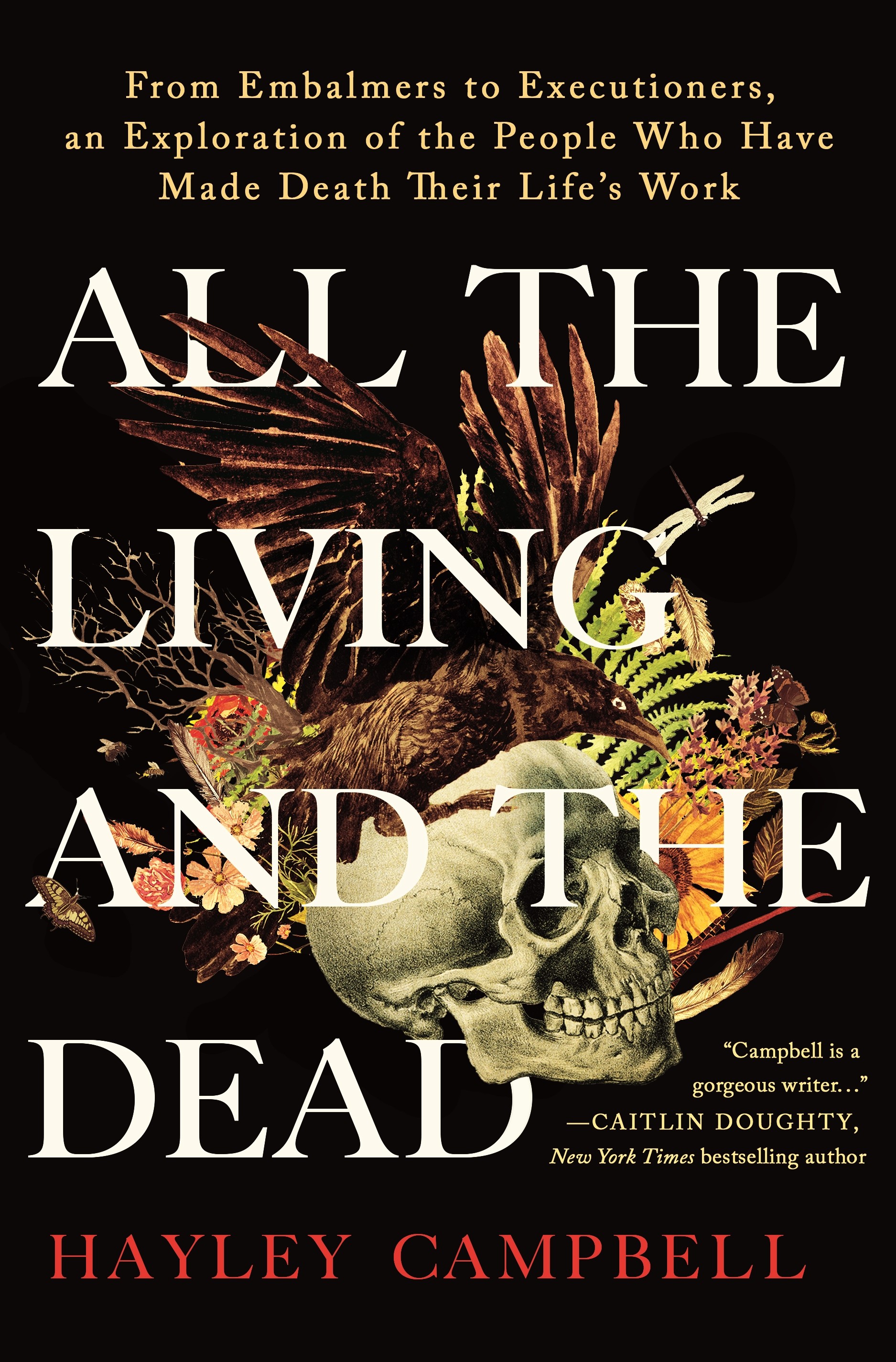 Learn about the business of death in 'All the Living and the Dead' - Vimarsana News