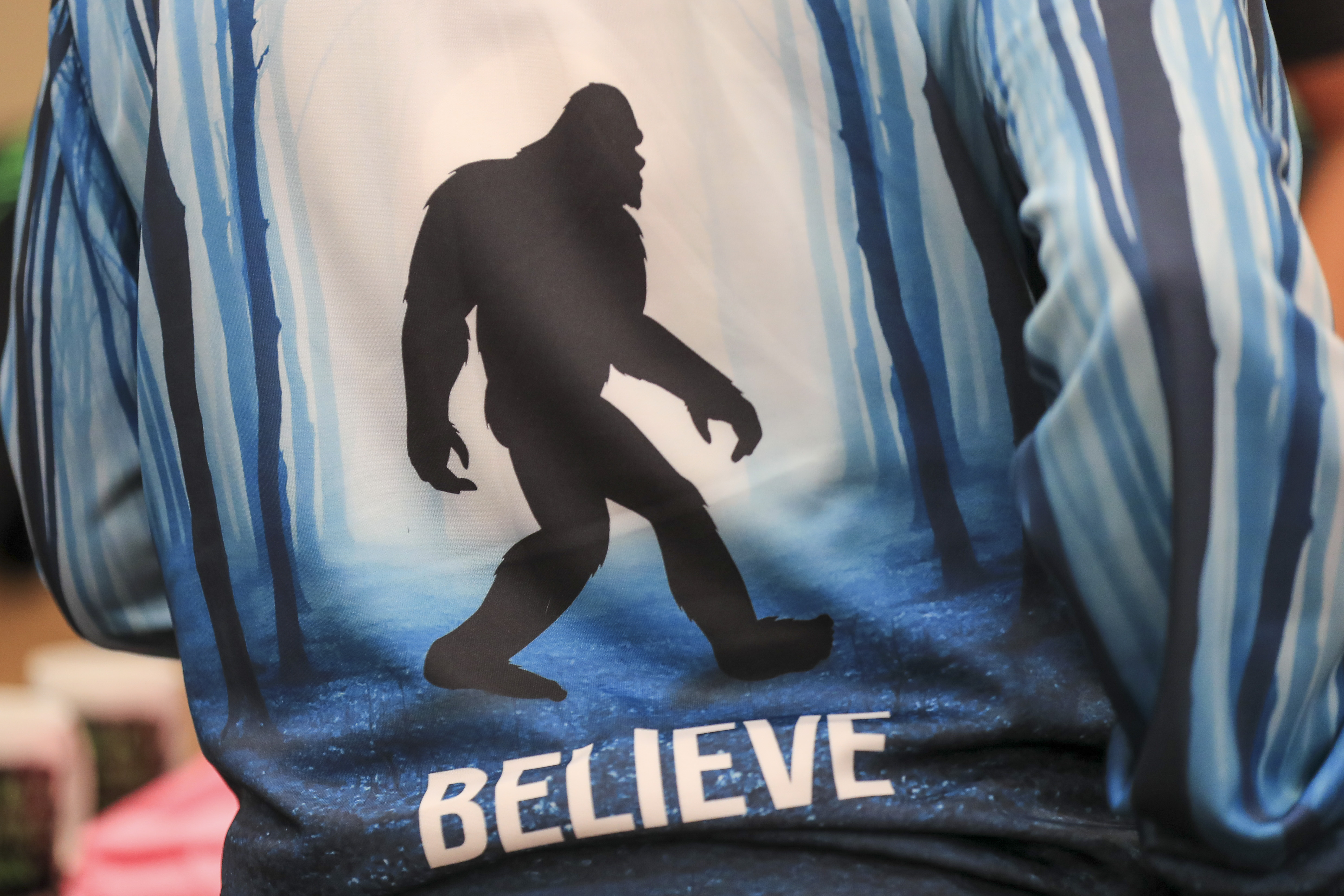Bigfoot hunters gather in Grand Rapids to swap stories, keep faith - Vimarsana News