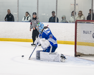 Minnesota earns commitment from Etobicoke Jr. Dolphins goaltender Hannah Clark - Vimarsana News