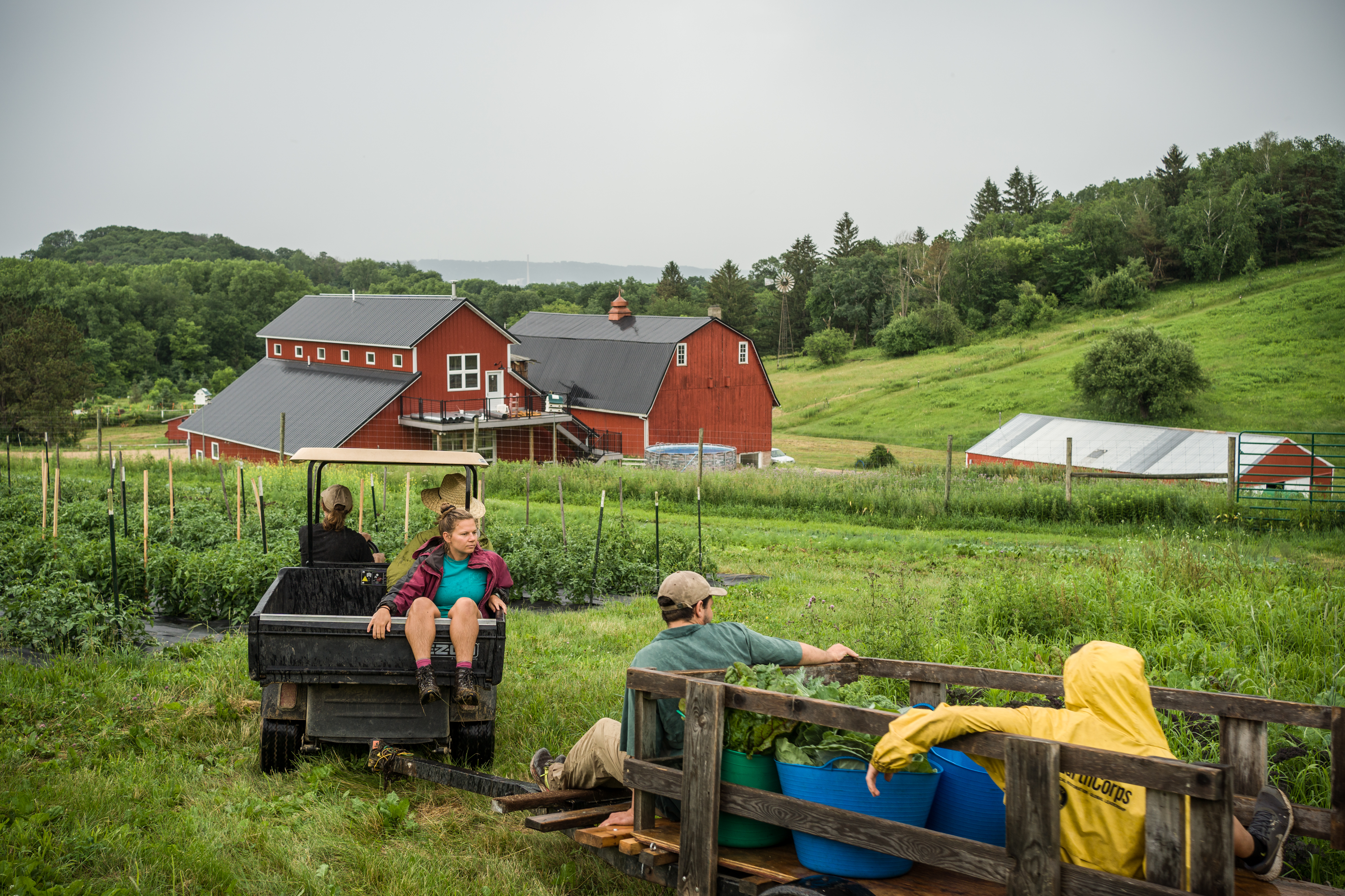 Bluff Valley gives young farmers a place to grow - Vimarsana News
