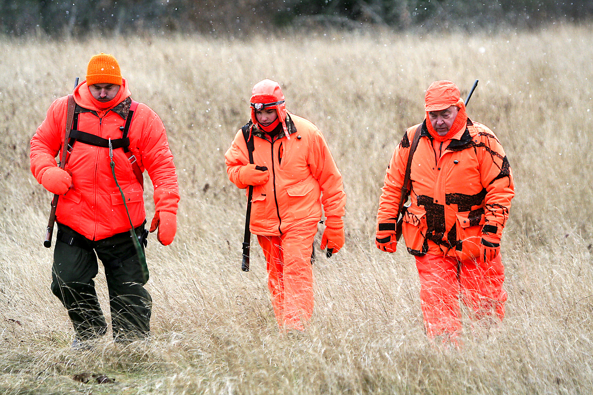 Minnesota firearms deer harvest down 11% statewide, 16% in the northeast - Vimarsana News