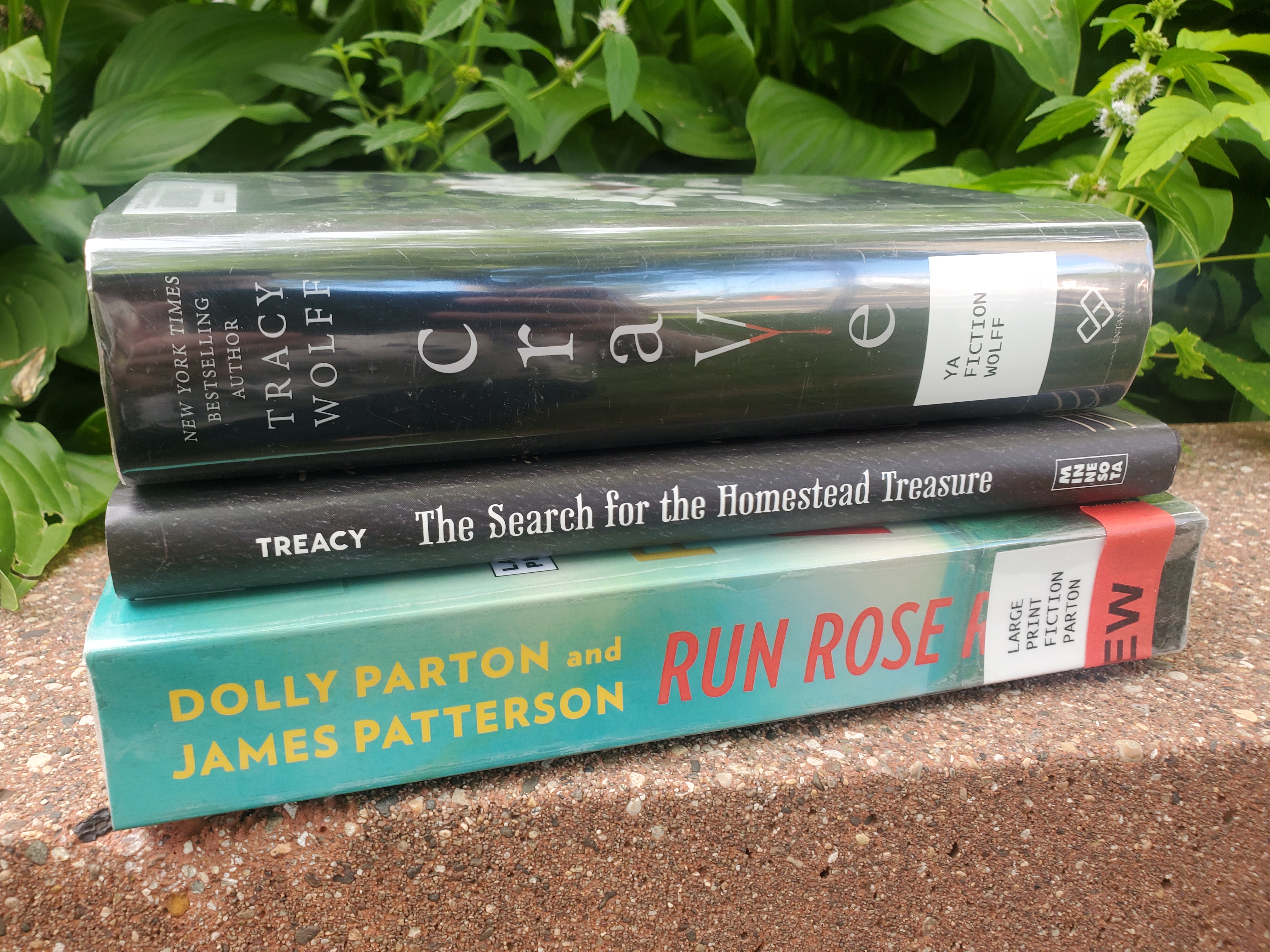 Bourke's Bookshelf: 'Is it easy? No it ain't' - Vimarsana News