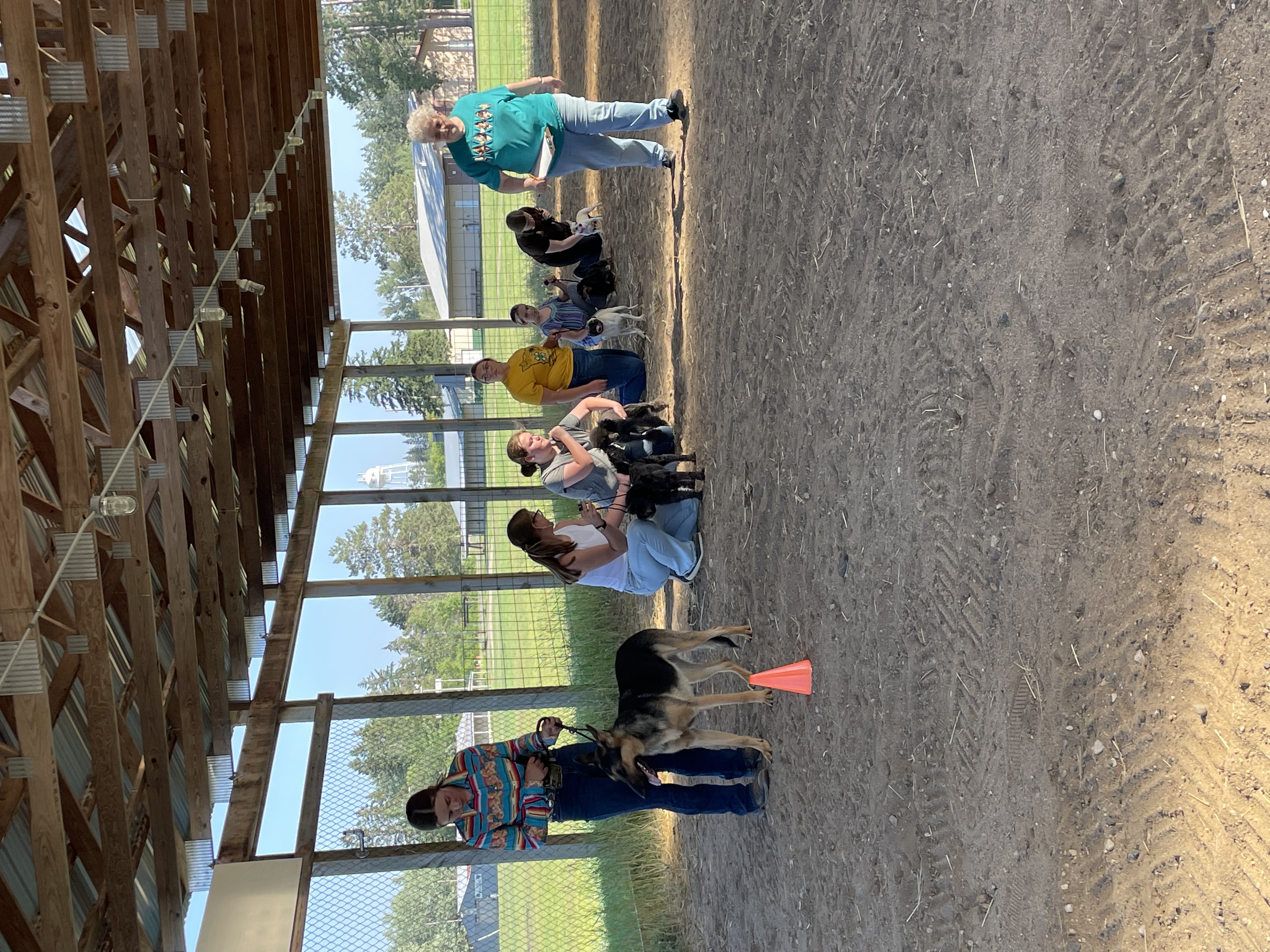 Cass County 4-H hosts dog show for first time in years - Vimarsana News