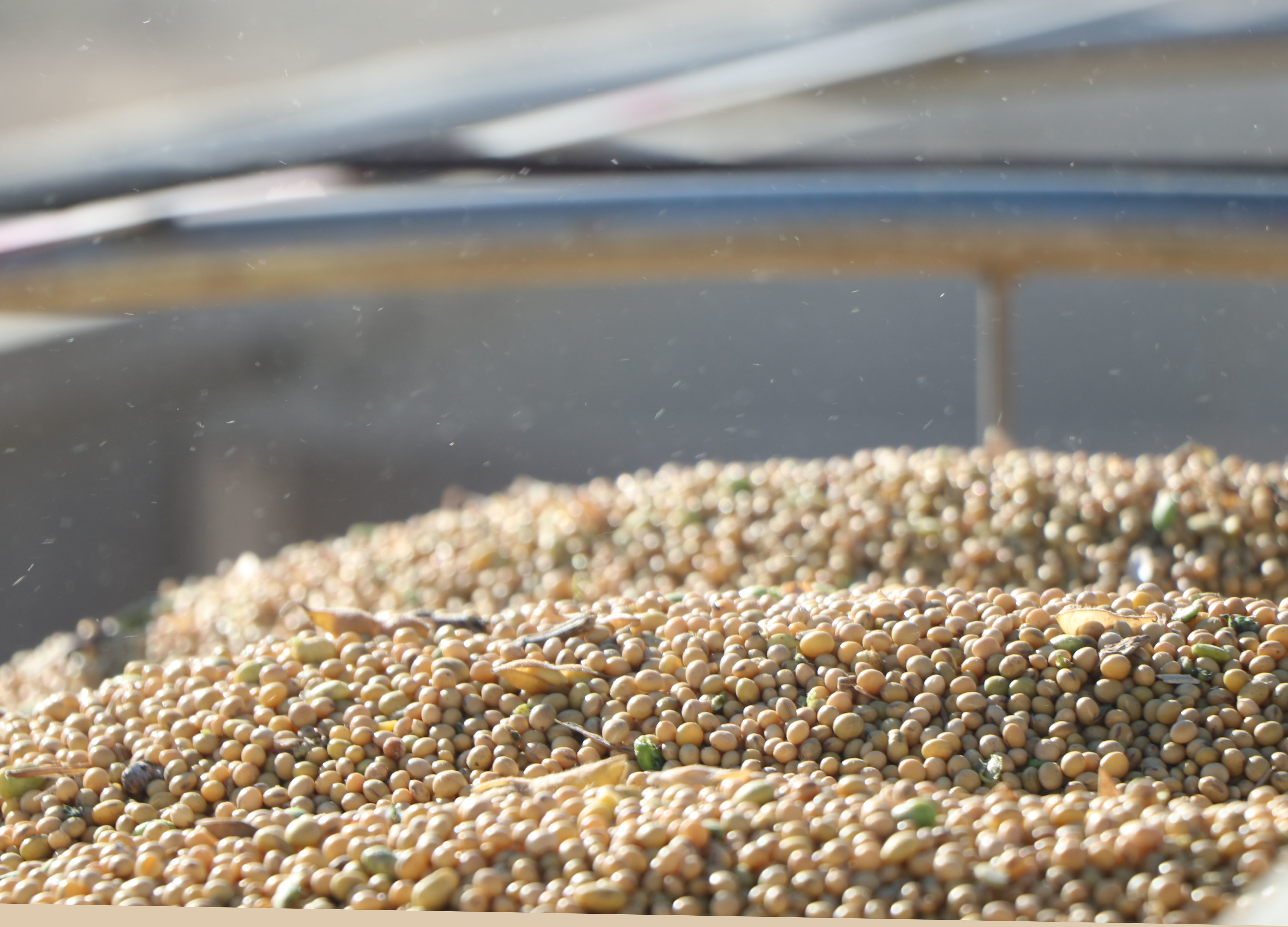 Crushing it: North Dakota ready to ride wave of demand for soybean oil and meal - Vimarsana News