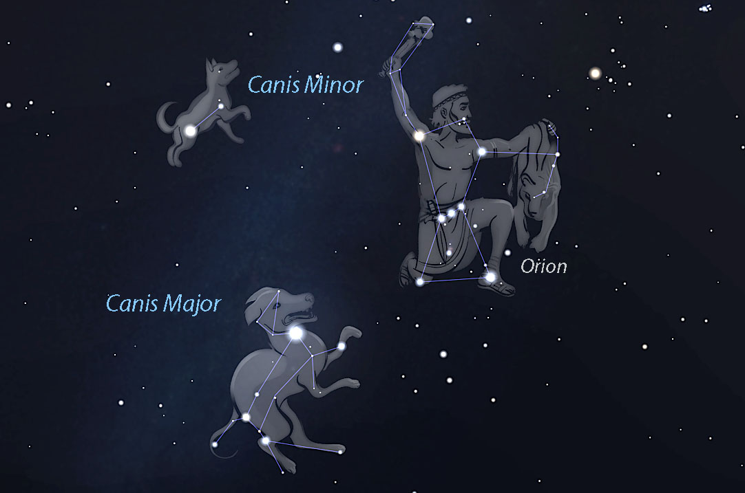 Astro Bob: Two-dog night — How to find Canis Major and Canis Minor - Vimarsana News