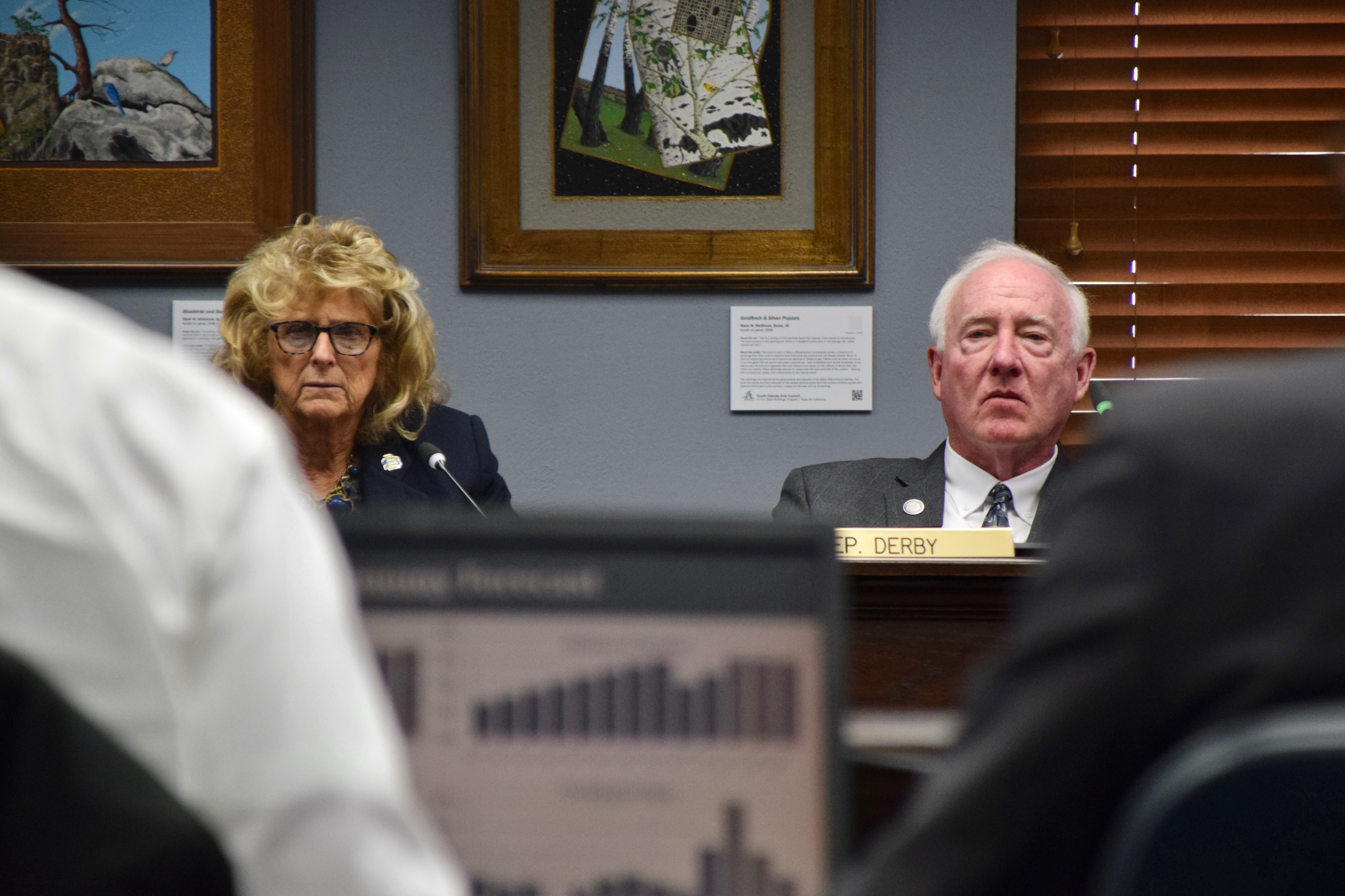 Budget forecasters offer souring South Dakota revenue outlook in departure from Noem's positive tone - Vimarsana News