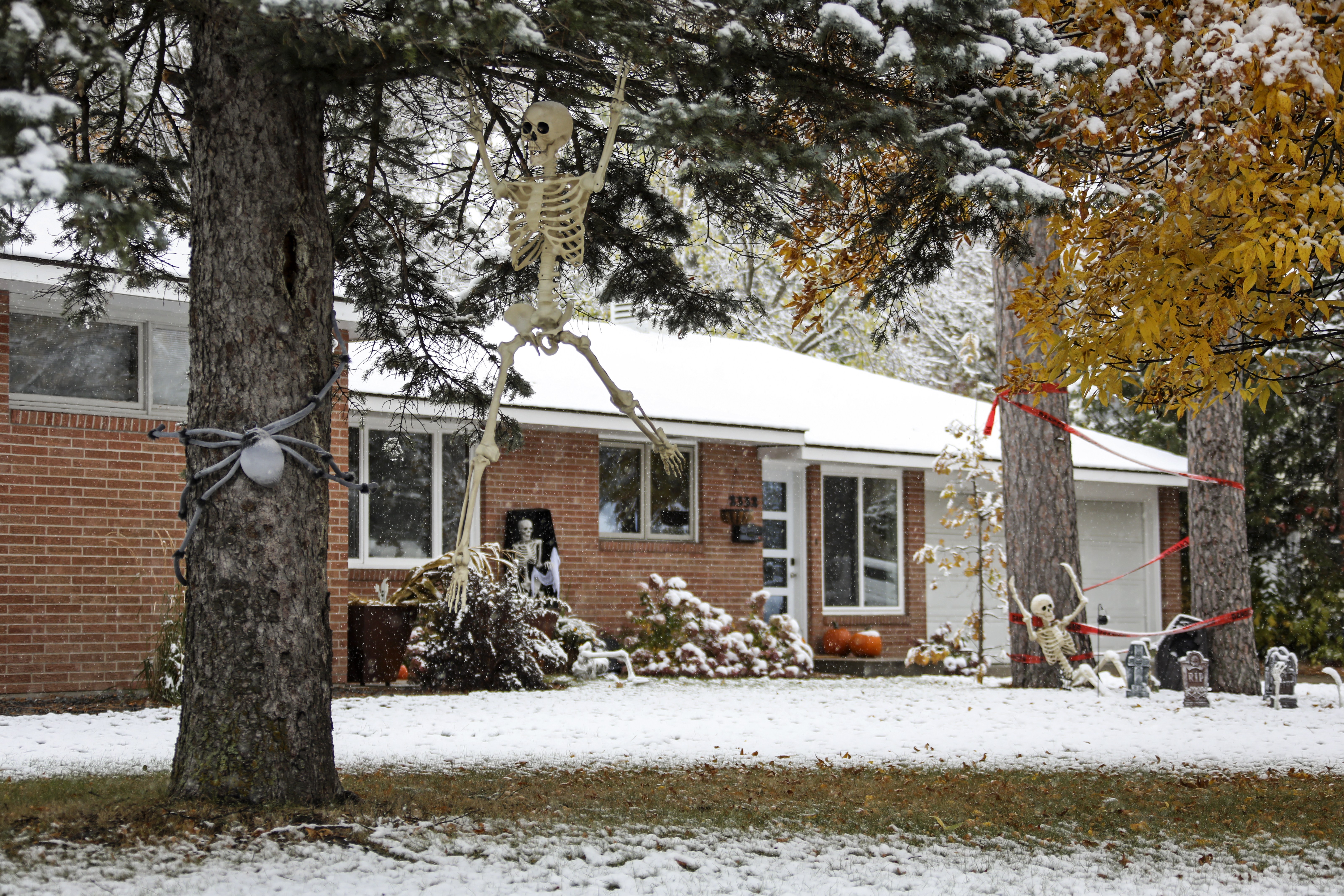Tricks and treats: Halloween events planned for Bemidji area - Vimarsana News