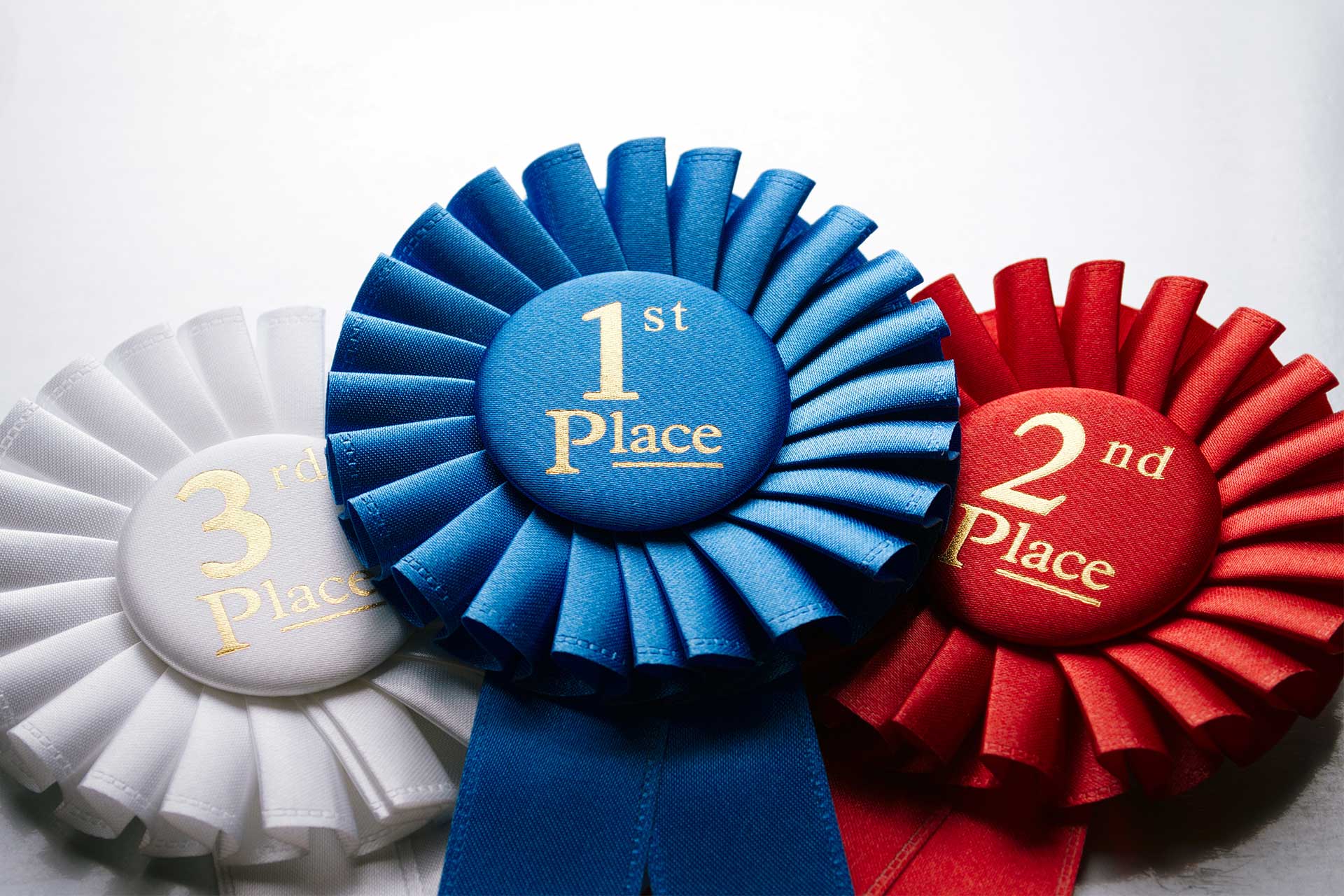 Pequot Lakes, Pine River-Backus student artists win awards at Minnesota State Fair - Vimarsana News