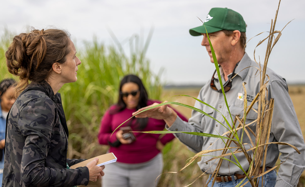 Sugar Association introduces influencers to sugarcane country - Vimarsana News