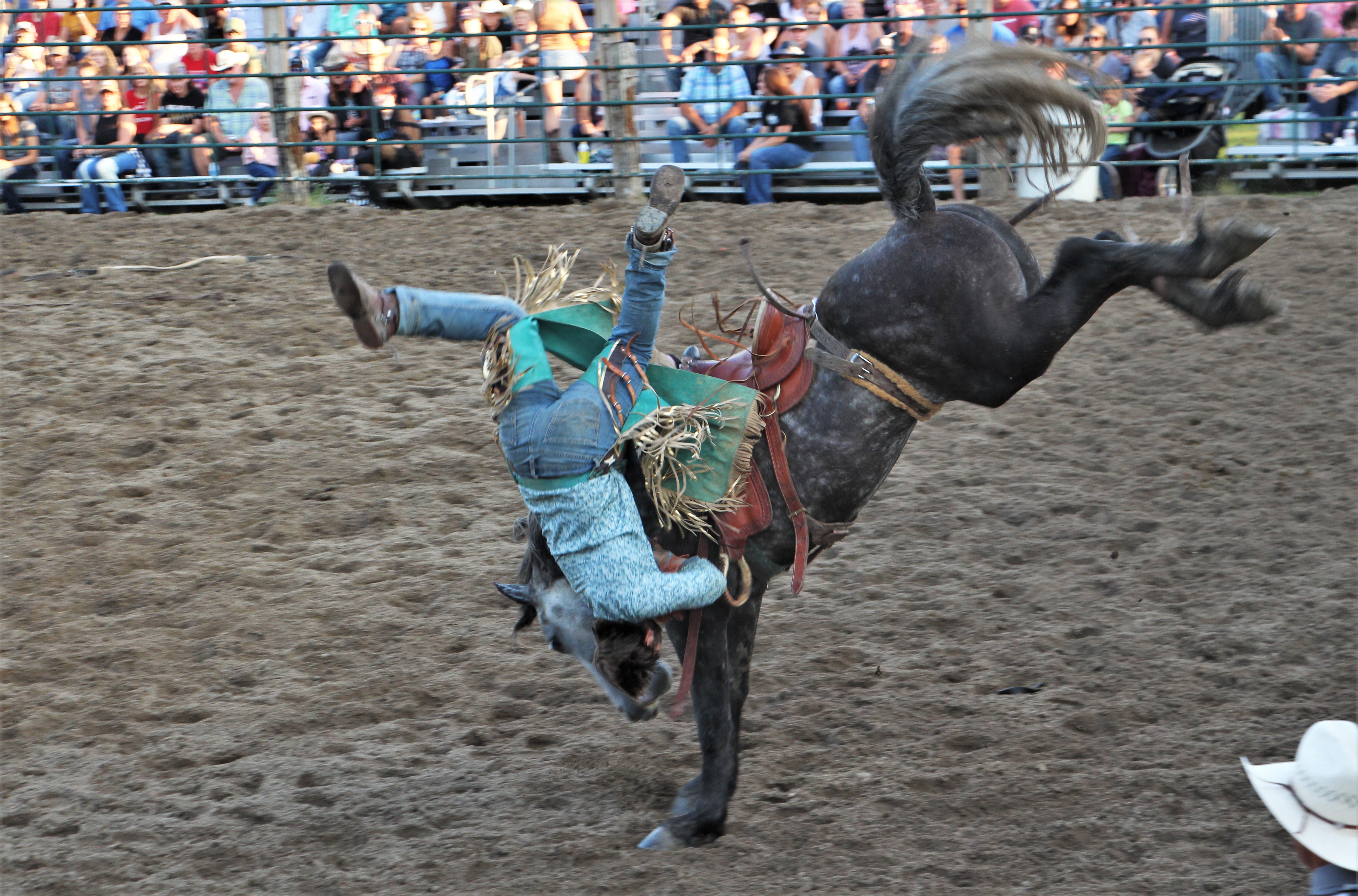 Riding and roping: PRCA Rodeo brings thrills to Detroit Lakes - Vimarsana News