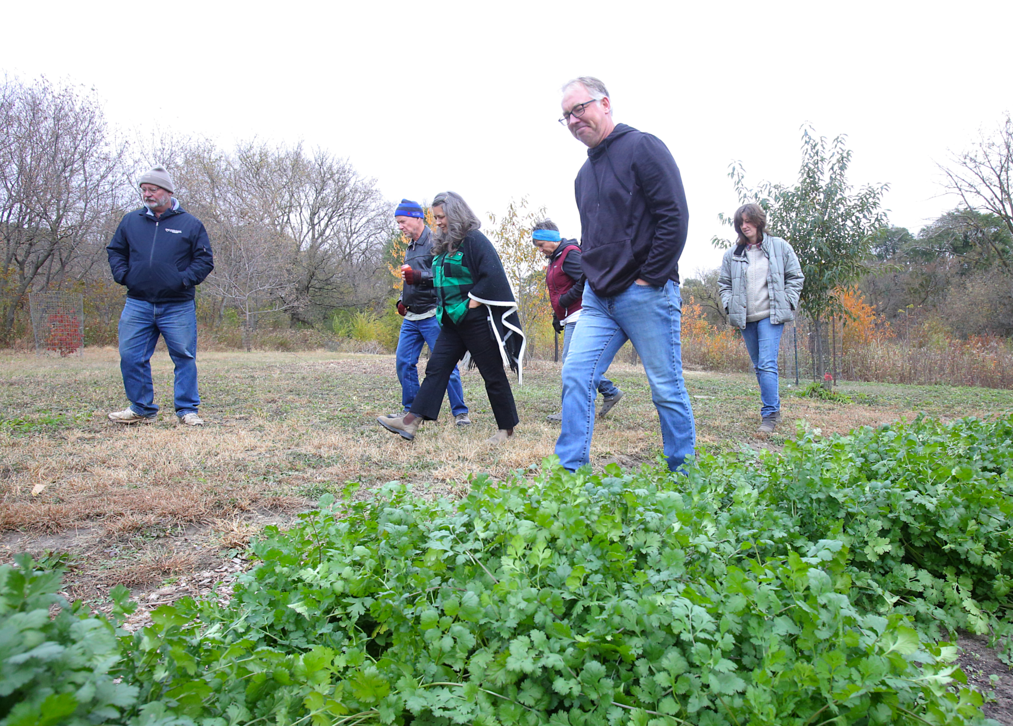 With winter coming, these plants have gardens covered - Vimarsana News