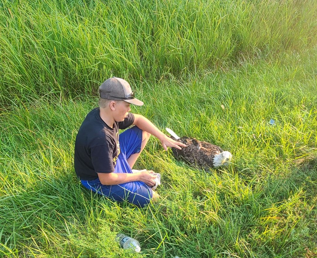 Adults, teens rally to rescue injured eagle - Vimarsana News