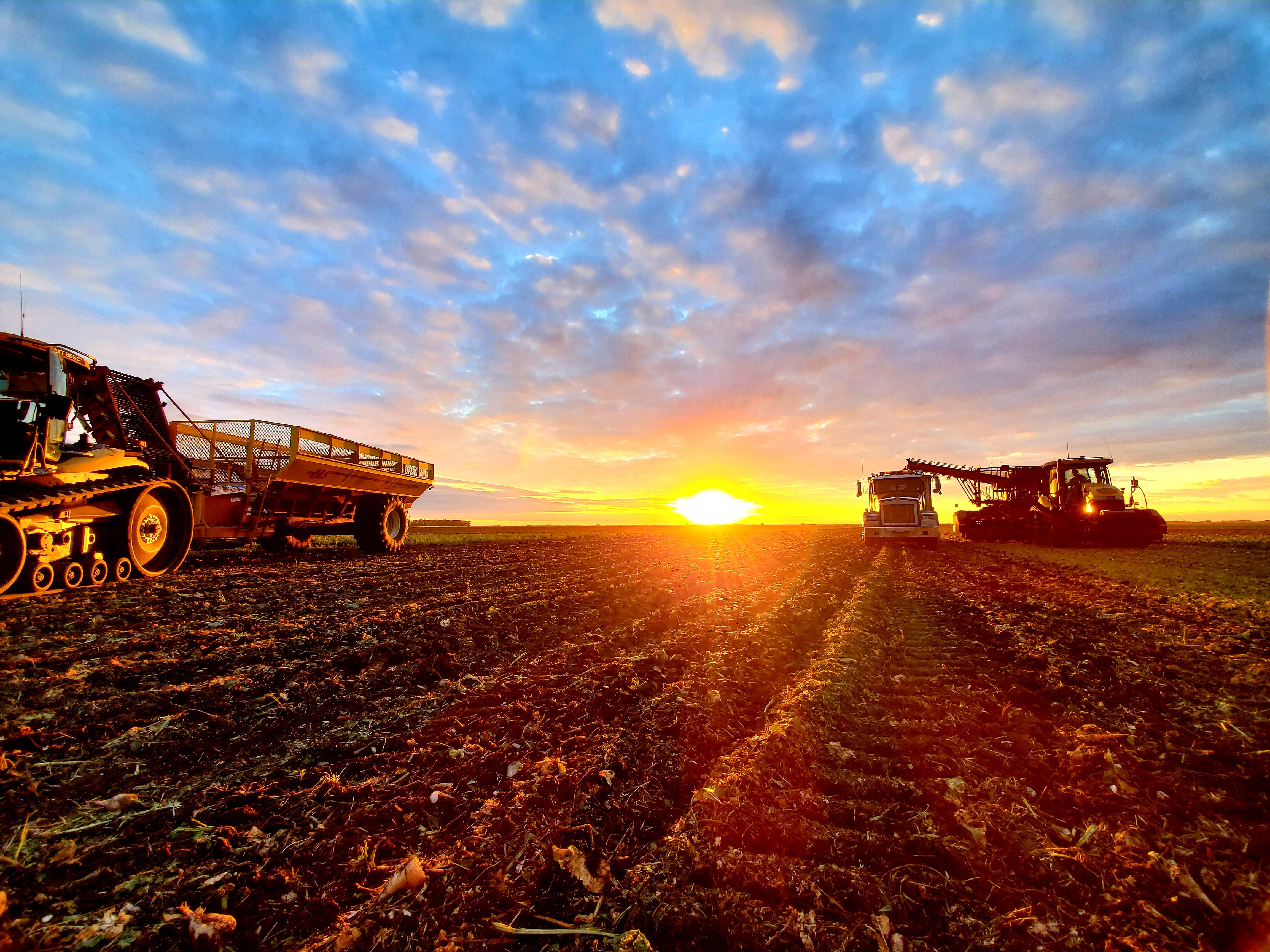 Harvest will return soon. Here's how beautiful it can be - Vimarsana News